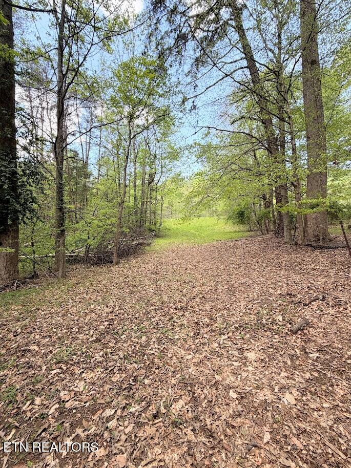 1617 Bull Run Road Luttrell TN 37779