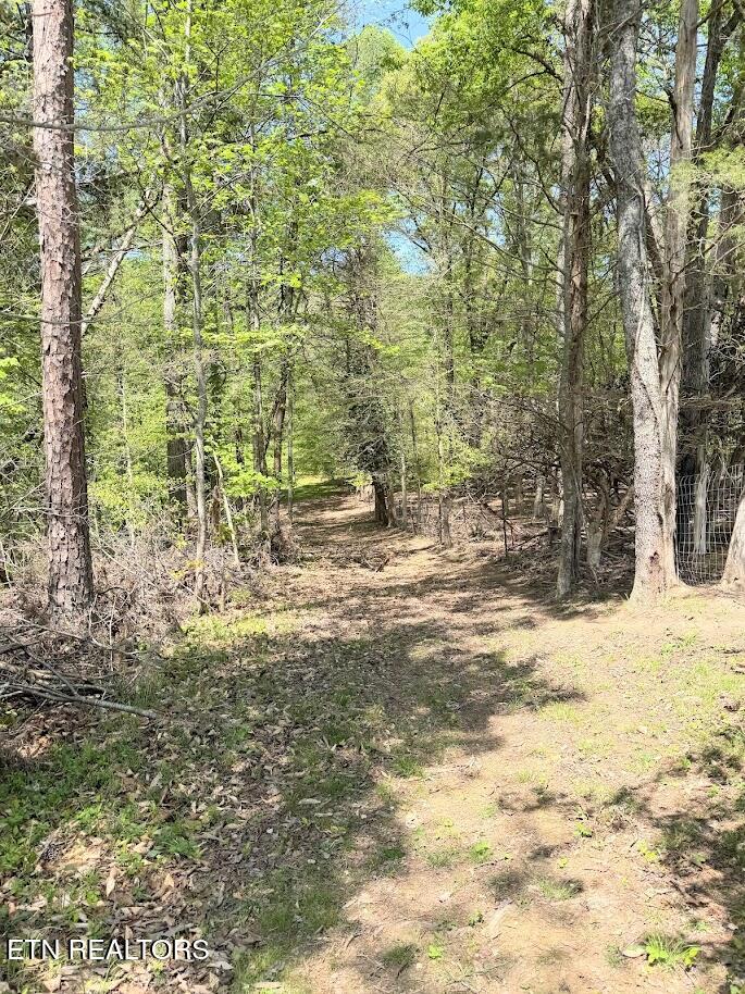 1617 Bull Run Road Luttrell TN 37779