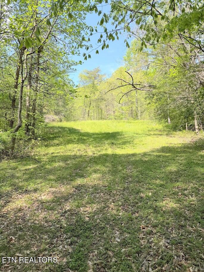 1617 Bull Run Road Luttrell TN 37779