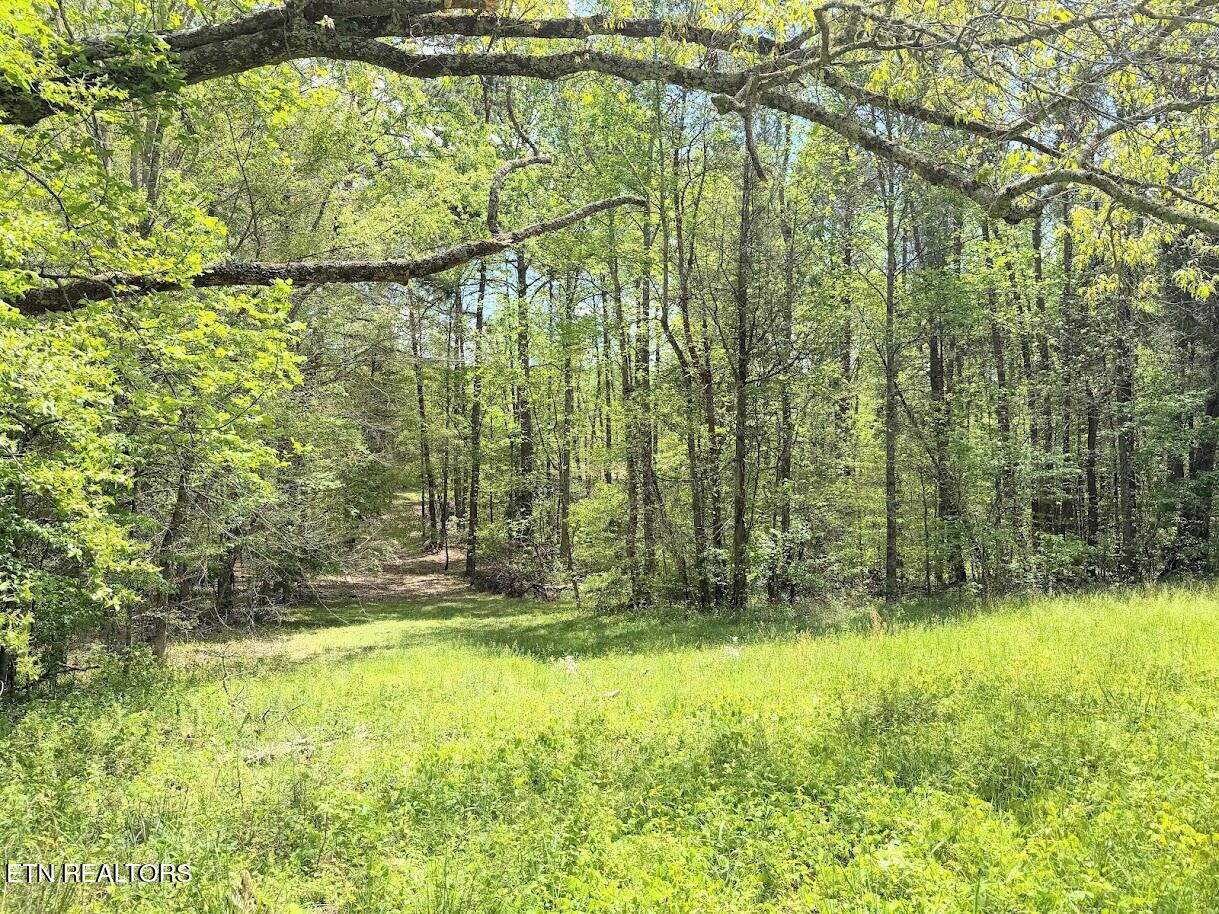 1617 Bull Run Road Luttrell TN 37779