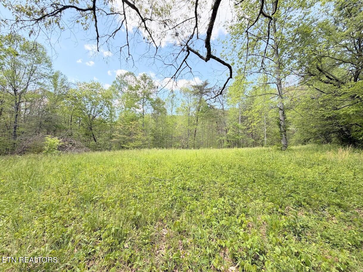 1617 Bull Run Road Luttrell TN 37779