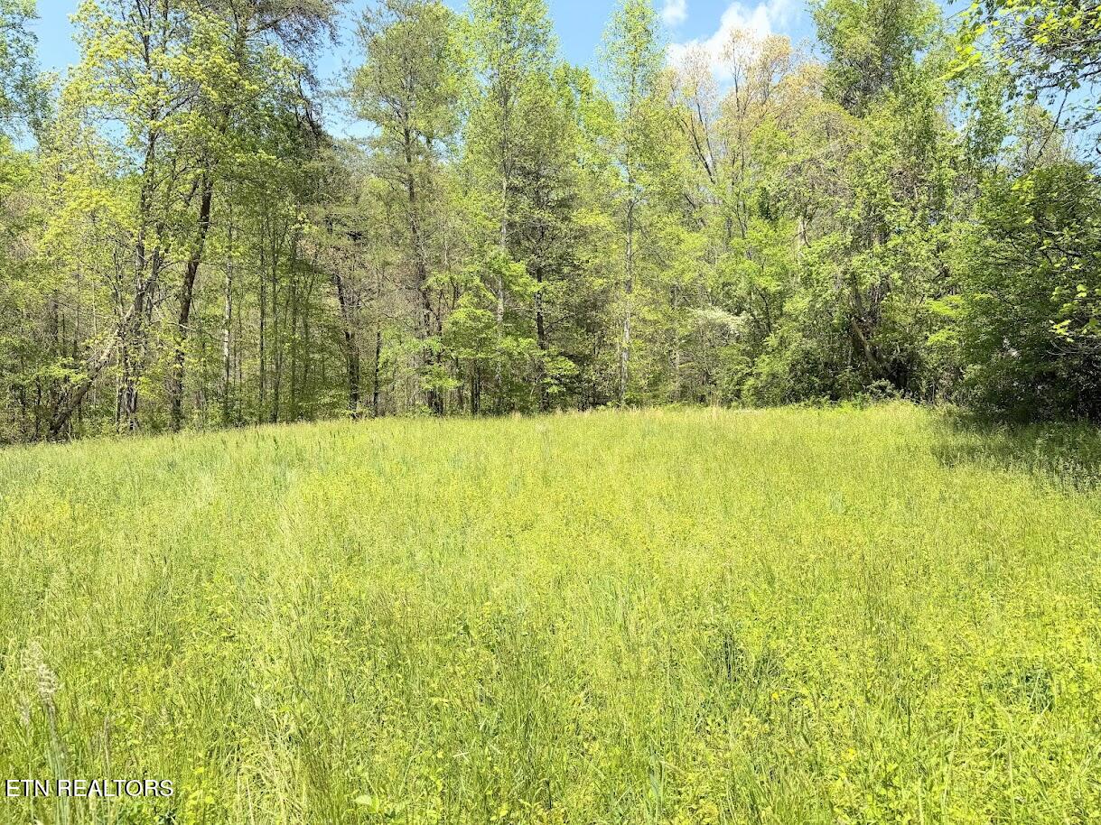 1617 Bull Run Road Luttrell TN 37779