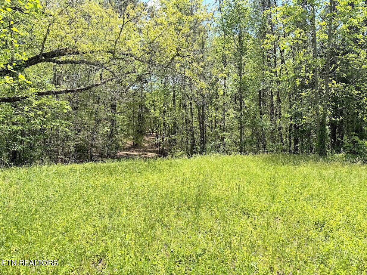 1617 Bull Run Road Luttrell TN 37779