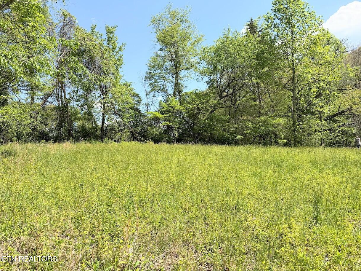 1617 Bull Run Road Luttrell TN 37779