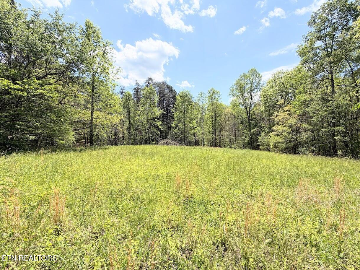 1617 Bull Run Road Luttrell TN 37779