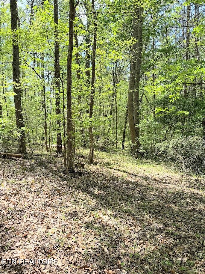 1617 Bull Run Road Luttrell TN 37779