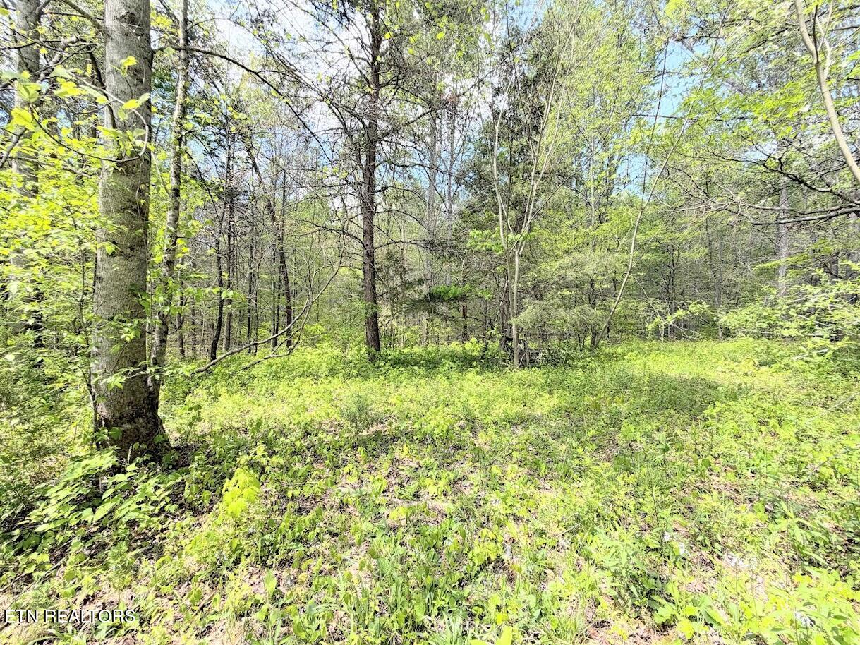 1617 Bull Run Road Luttrell TN 37779