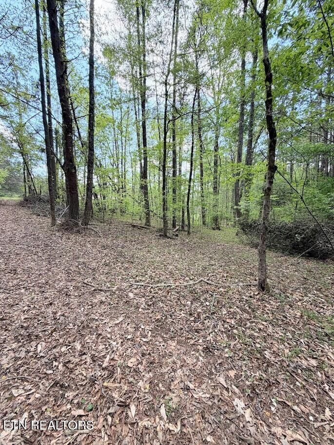 1617 Bull Run Road Luttrell TN 37779