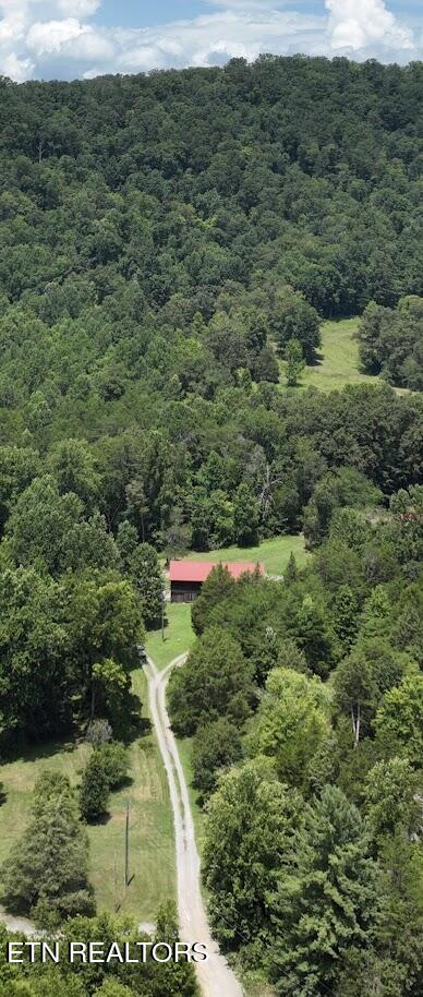 1617 Bull Run Road Luttrell TN 37779