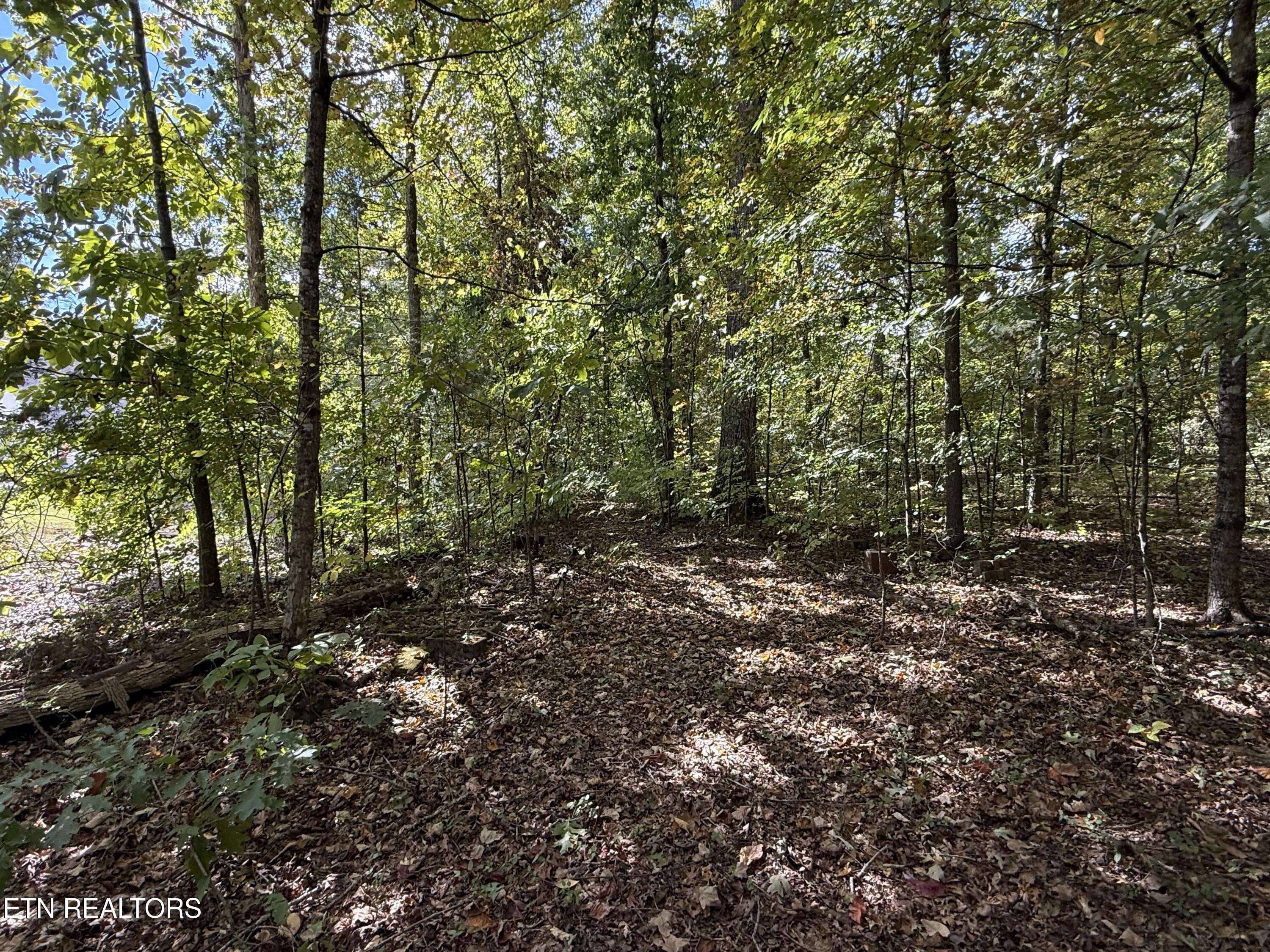 1311 Choto Road Knoxville TN 37922