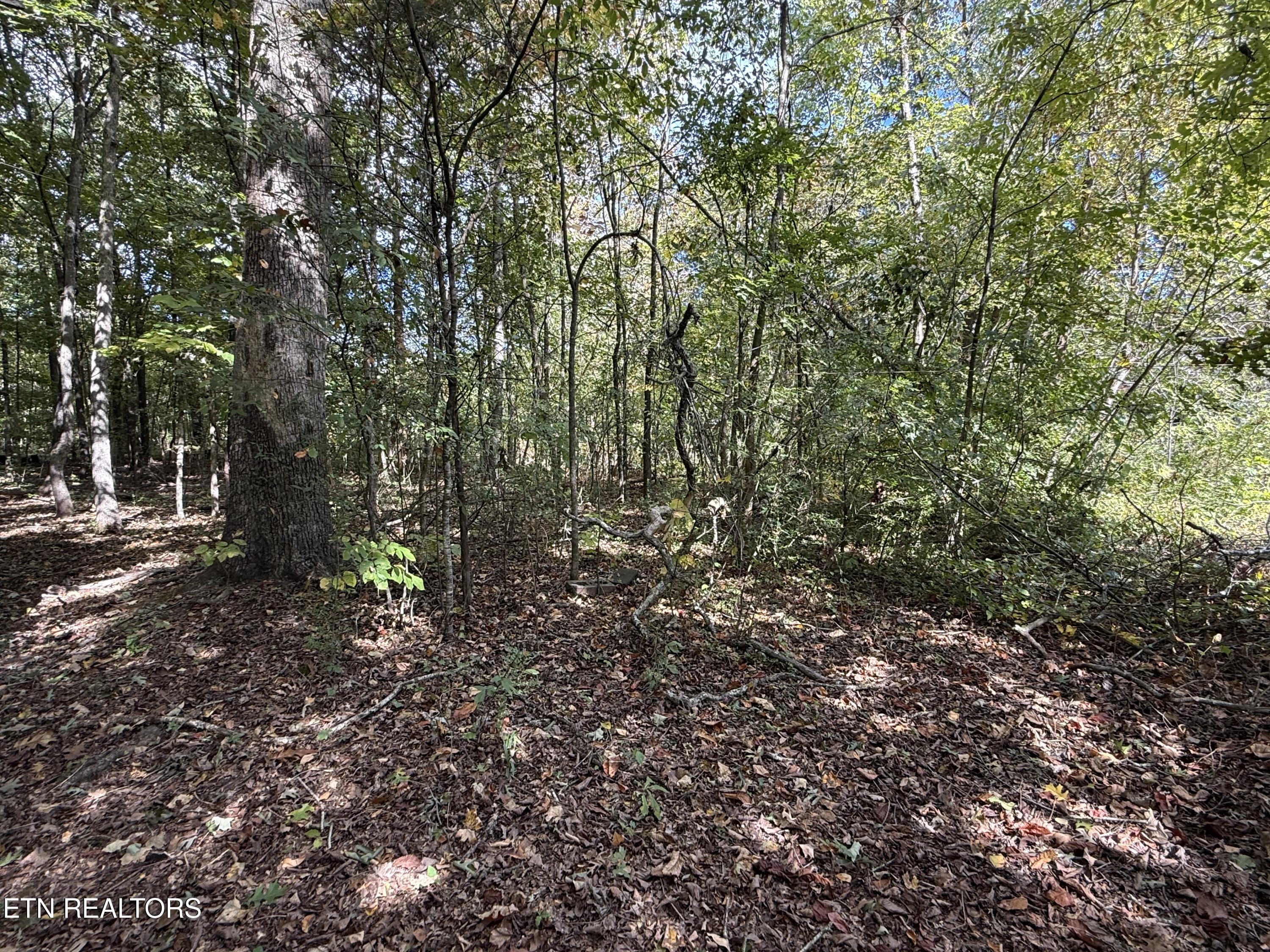 1311 Choto Road Knoxville TN 37922