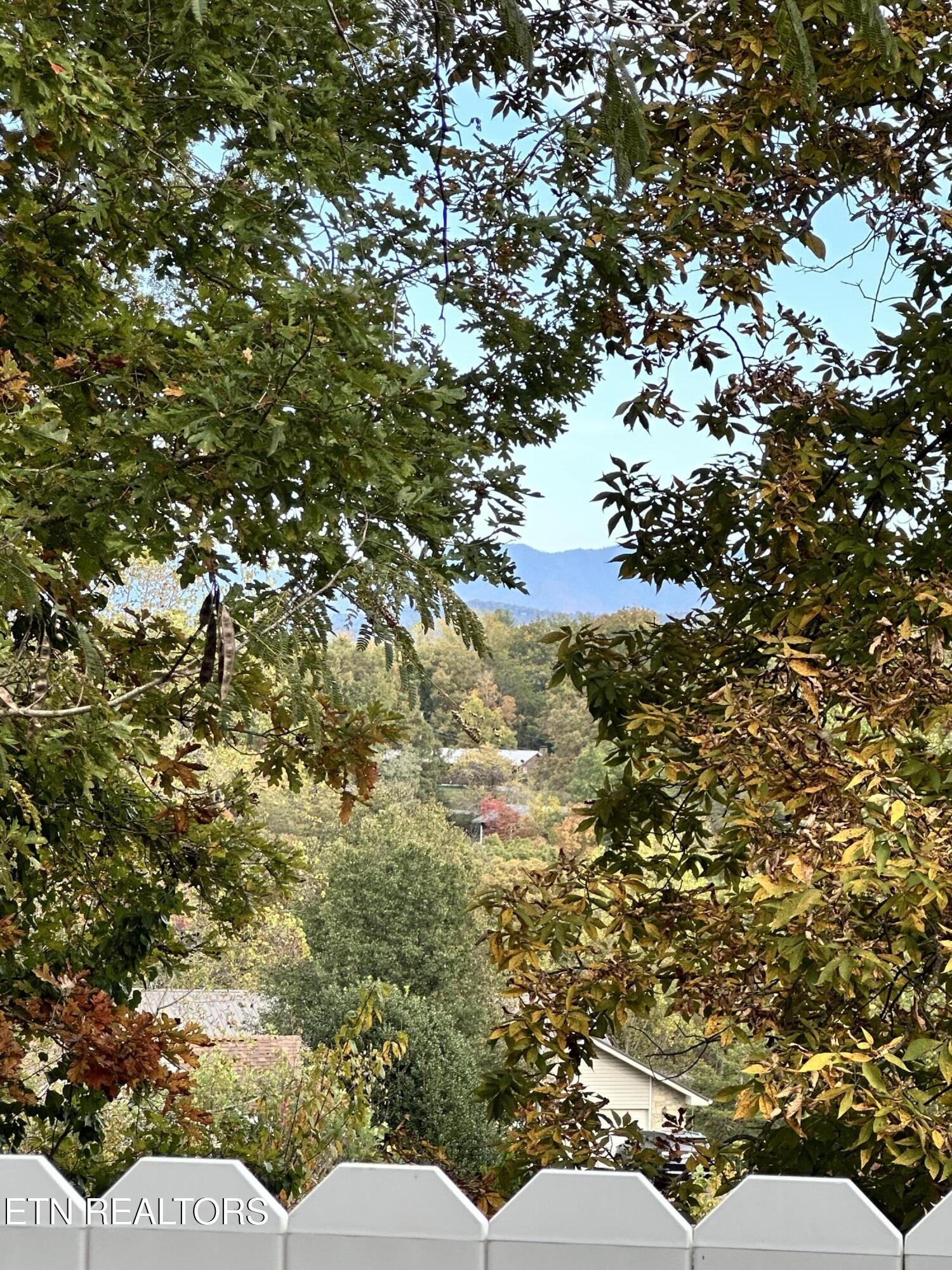 2819 Saint Charles Place Pigeon Forge TN 37863