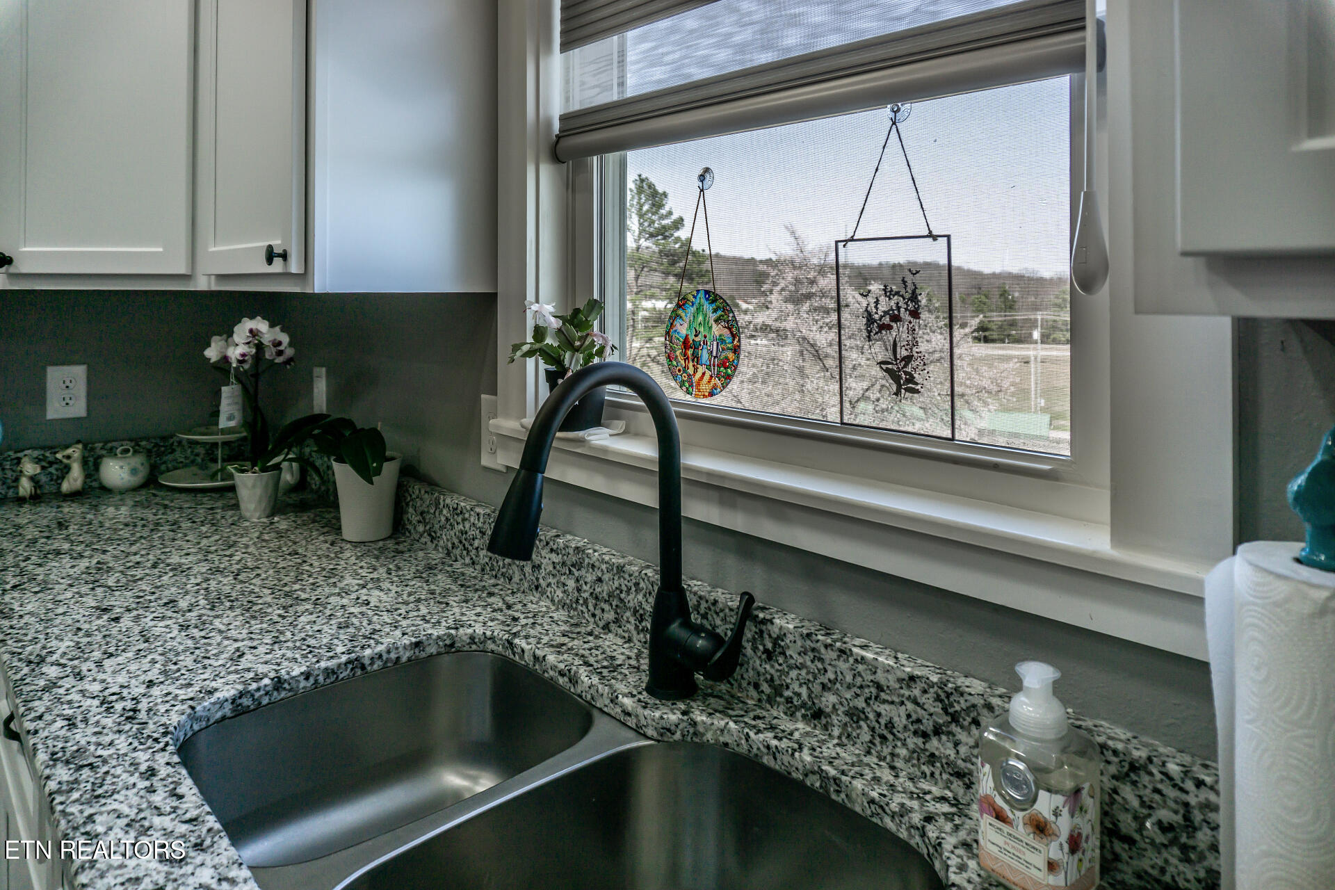 80 Polly Anna Drive Mosheim TN 37818