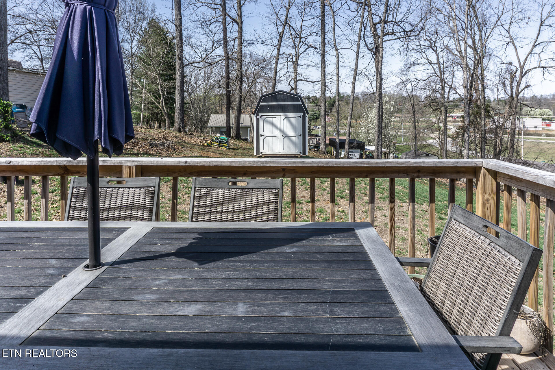 80 Polly Anna Drive Mosheim TN 37818