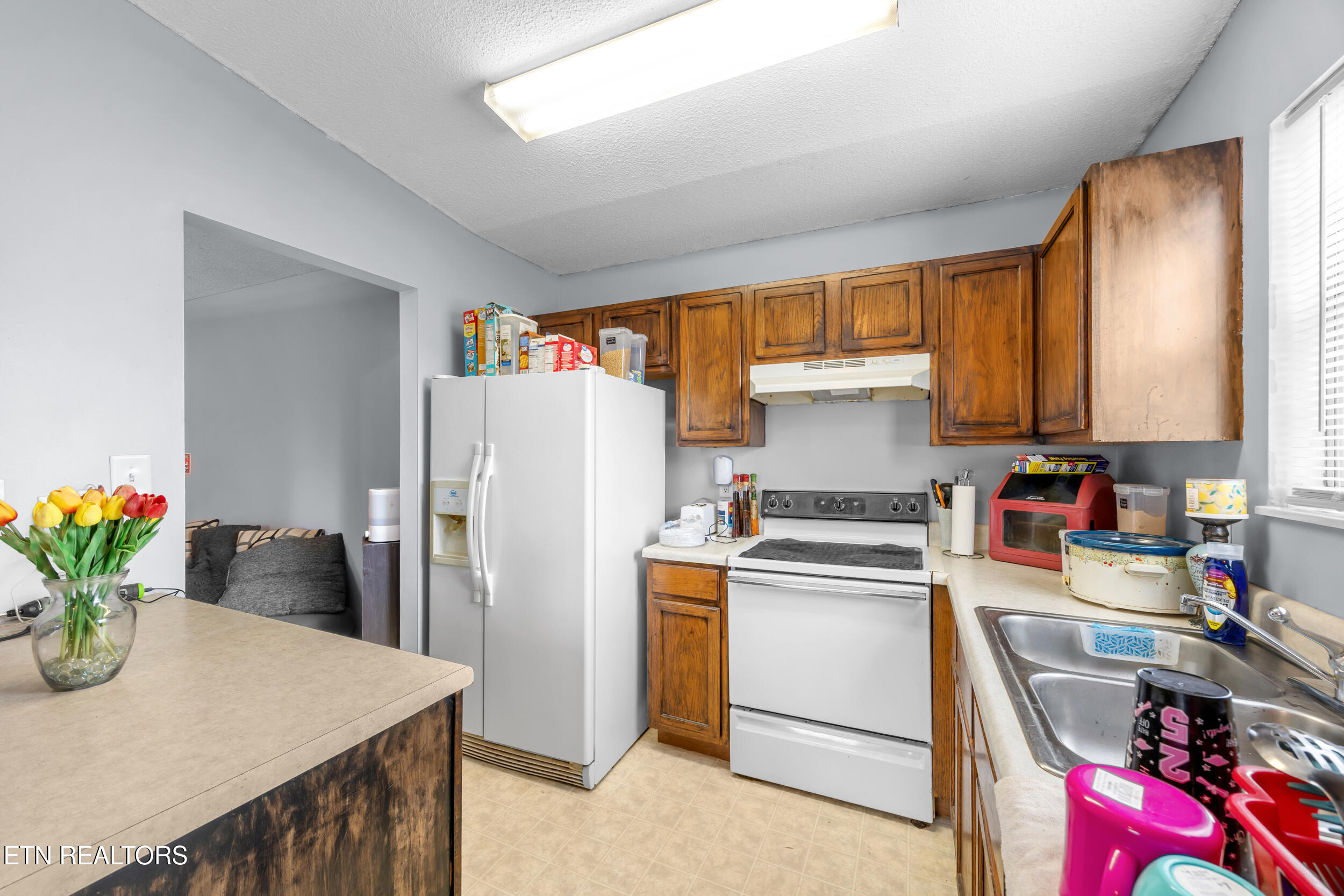 7545 Gary White Road Corryton TN 37721