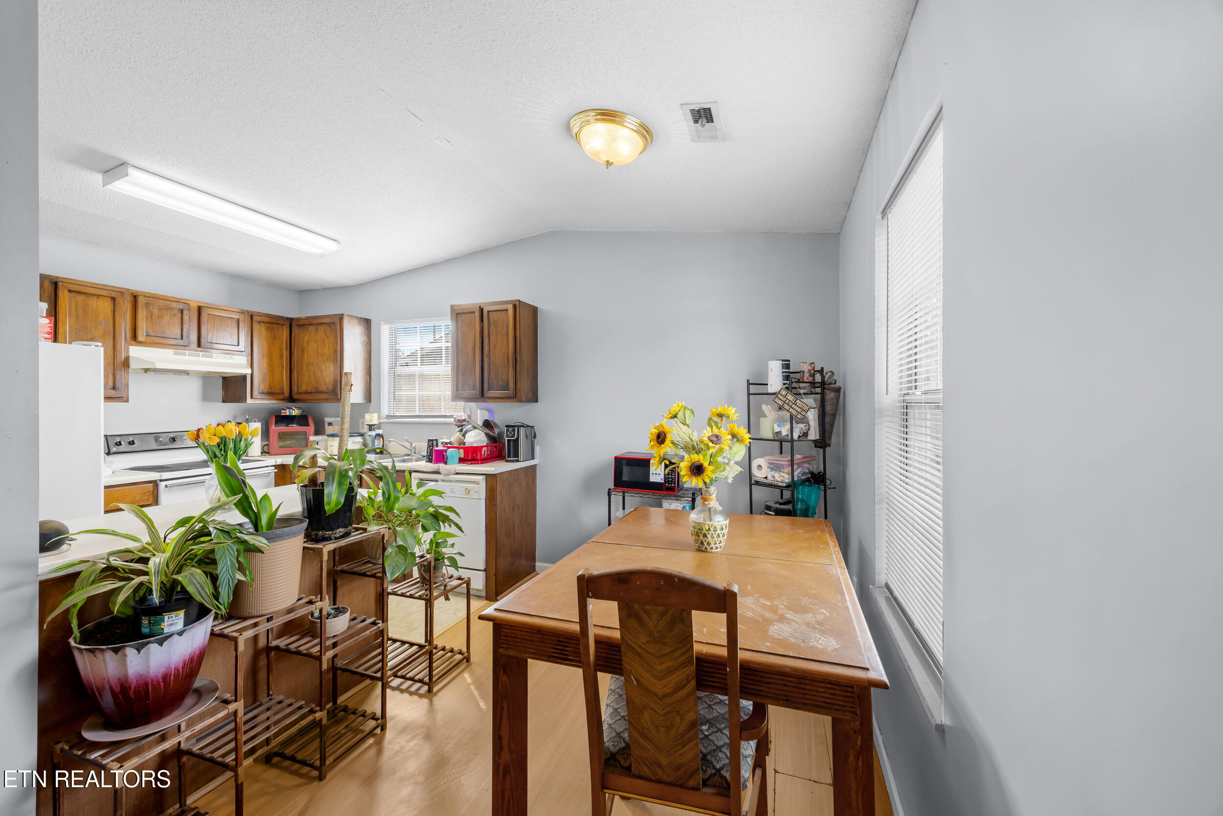 7545 Gary White Road Corryton TN 37721