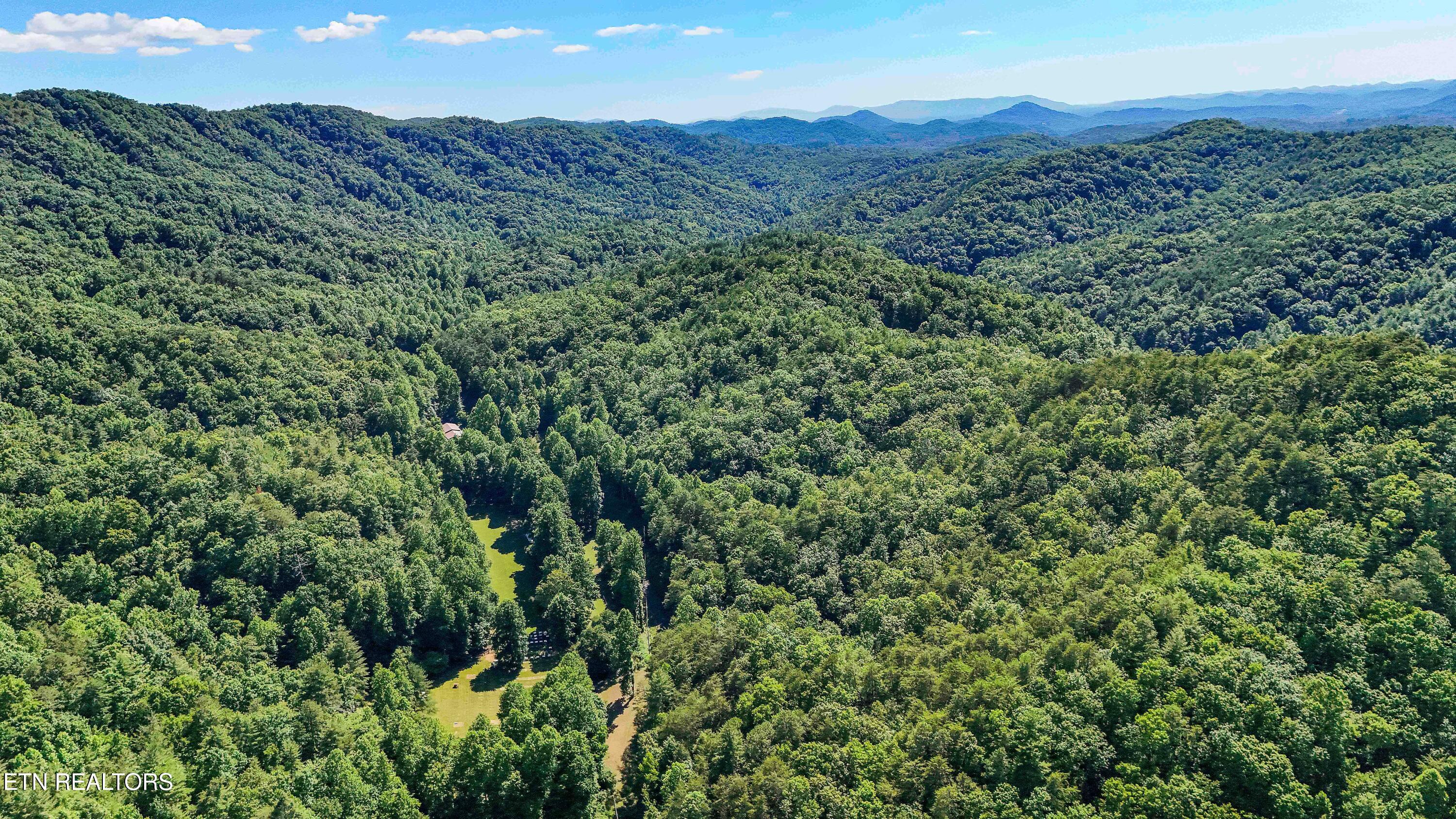 1151 Chestnut Valley Road Vonore TN 37885