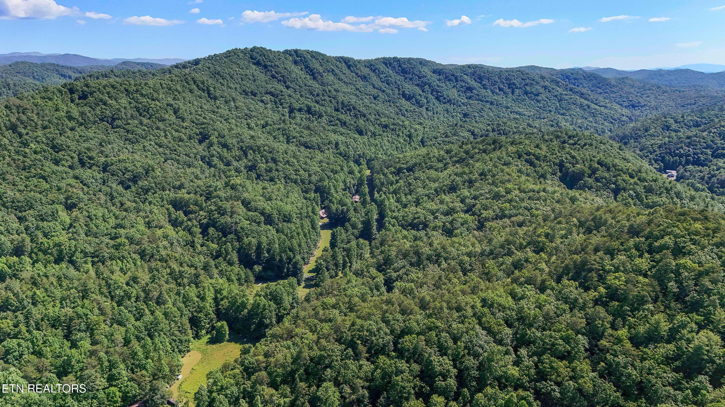 1151 Chestnut Valley Road Vonore TN 37885