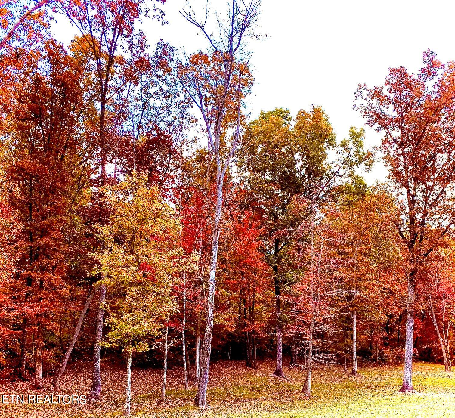 179 Old Pomona Road Crossville TN 38571