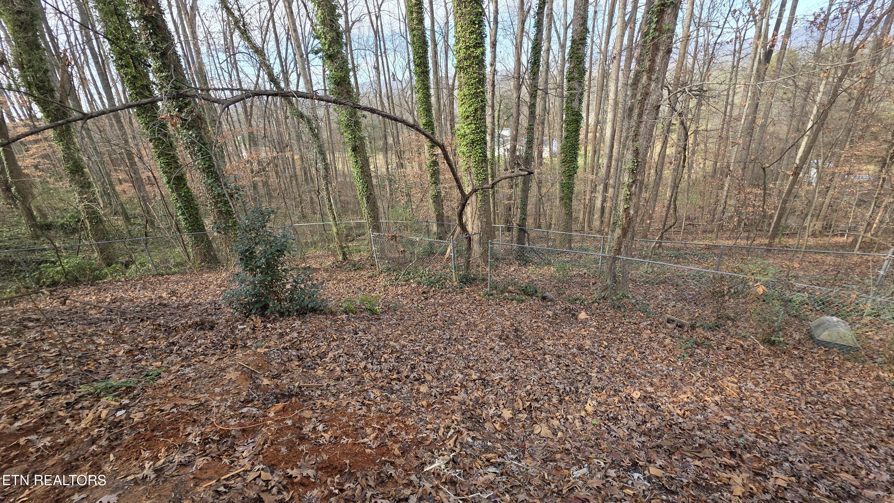 1135 W West Outer Drive Oak Ridge TN 37830