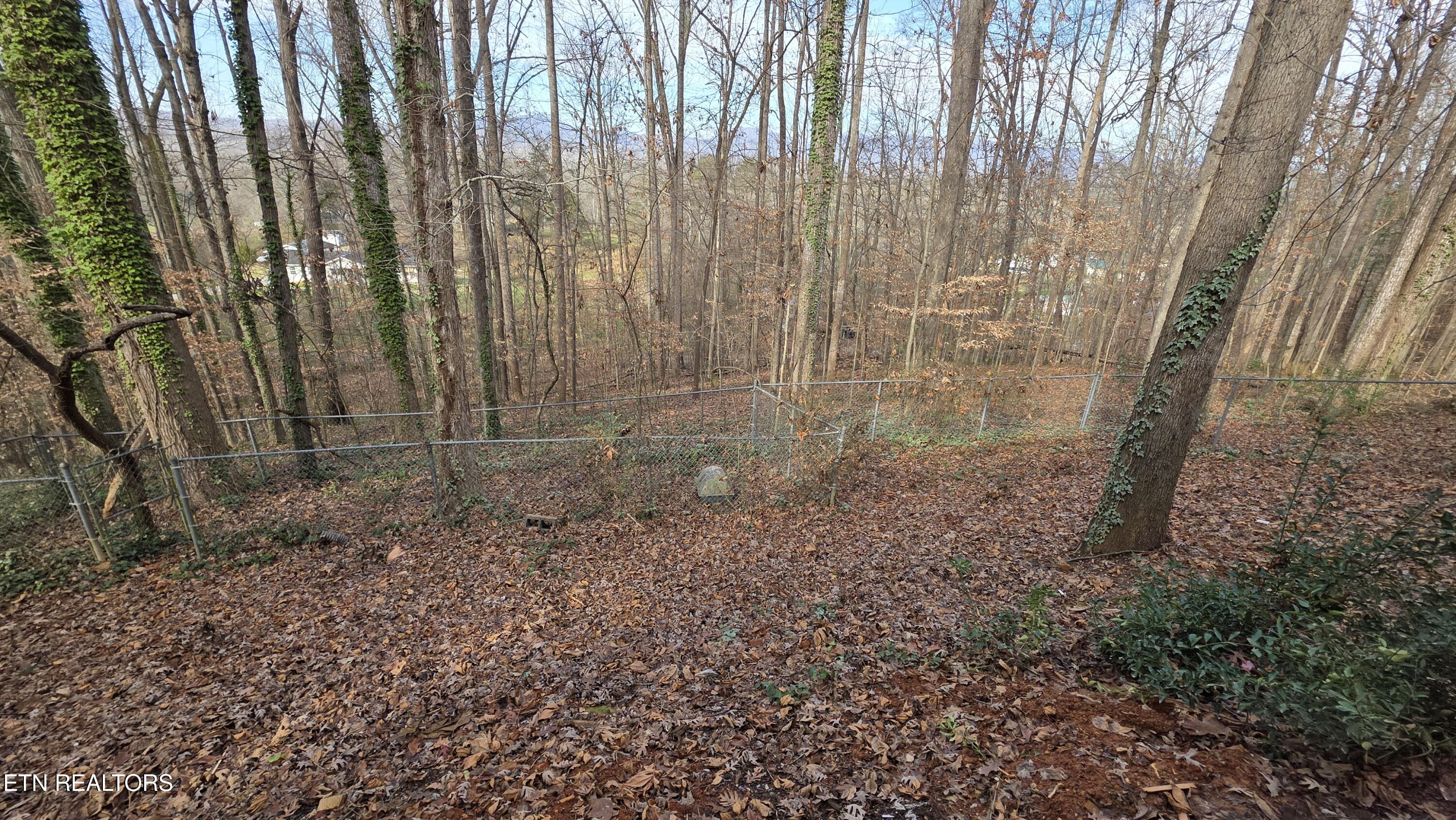1135 W West Outer Drive Oak Ridge TN 37830