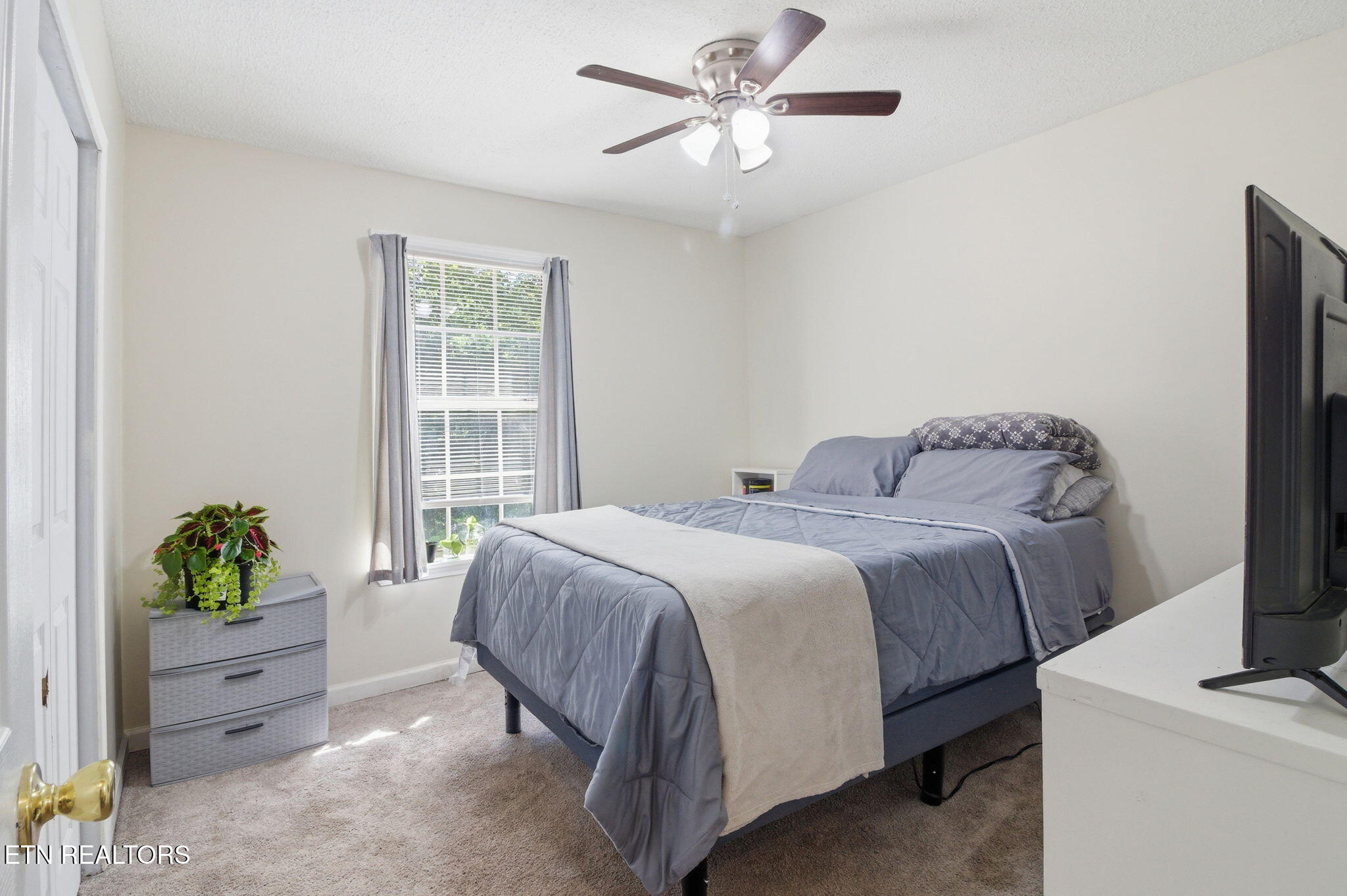 8605 Parker Drive Corryton TN 37721
