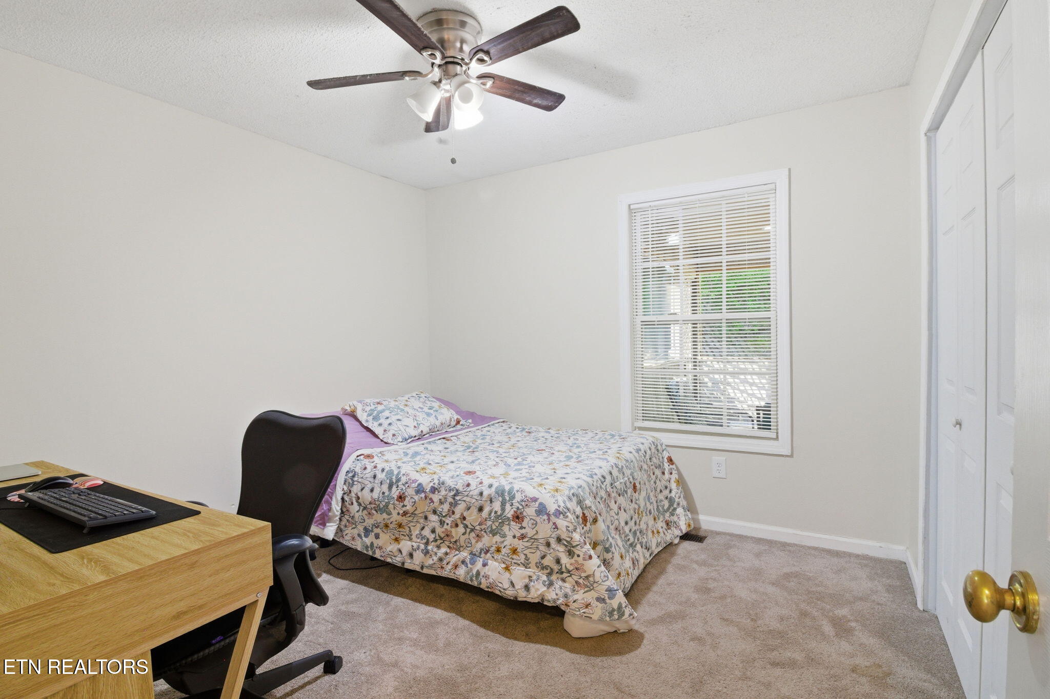 8605 Parker Drive Corryton TN 37721