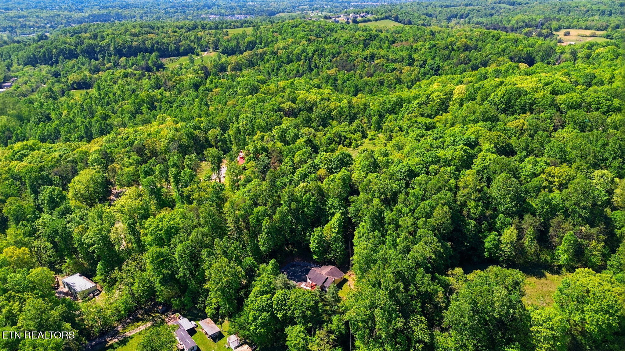 8605 Parker Drive Corryton TN 37721