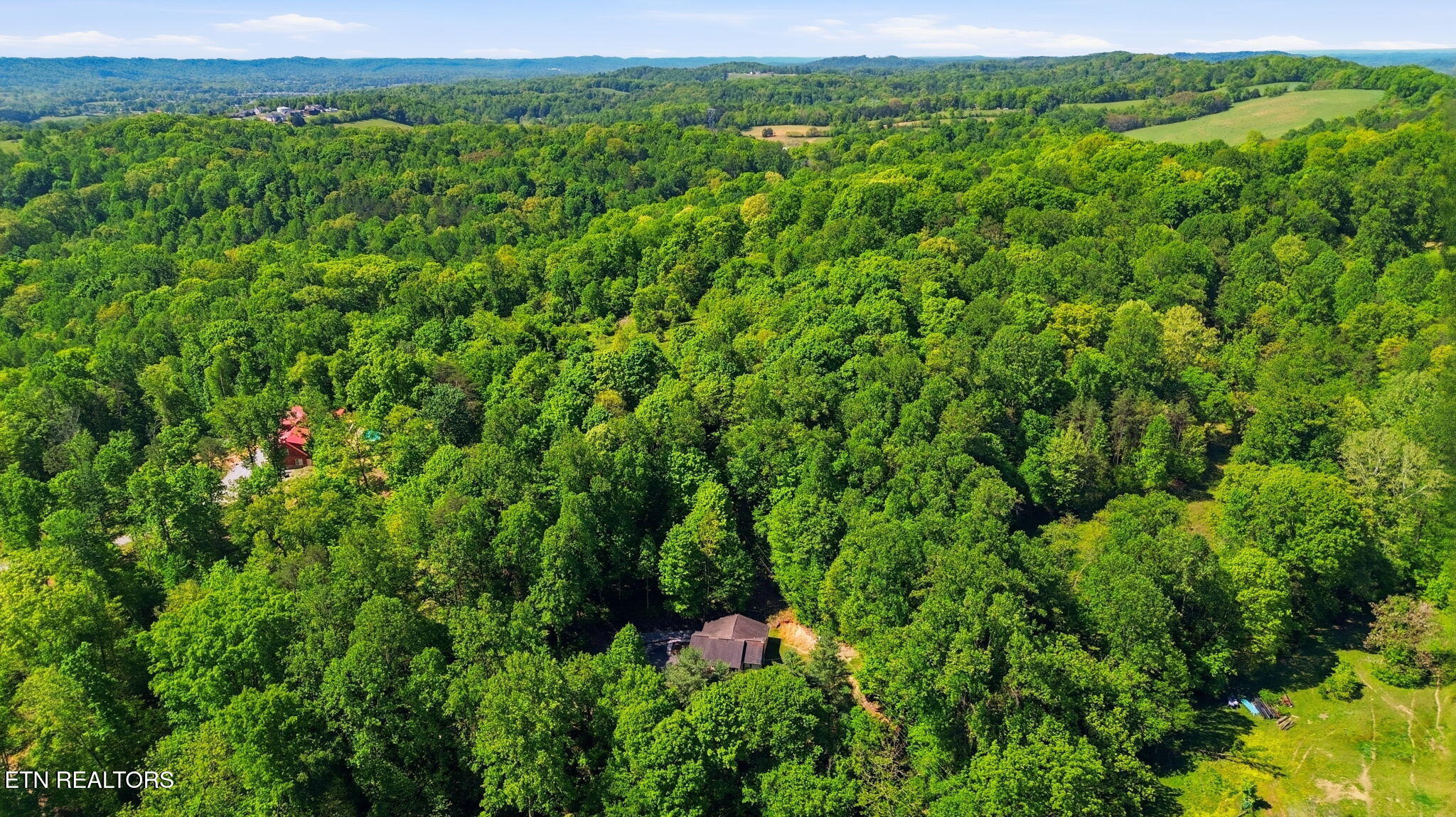 8605 Parker Drive Corryton TN 37721