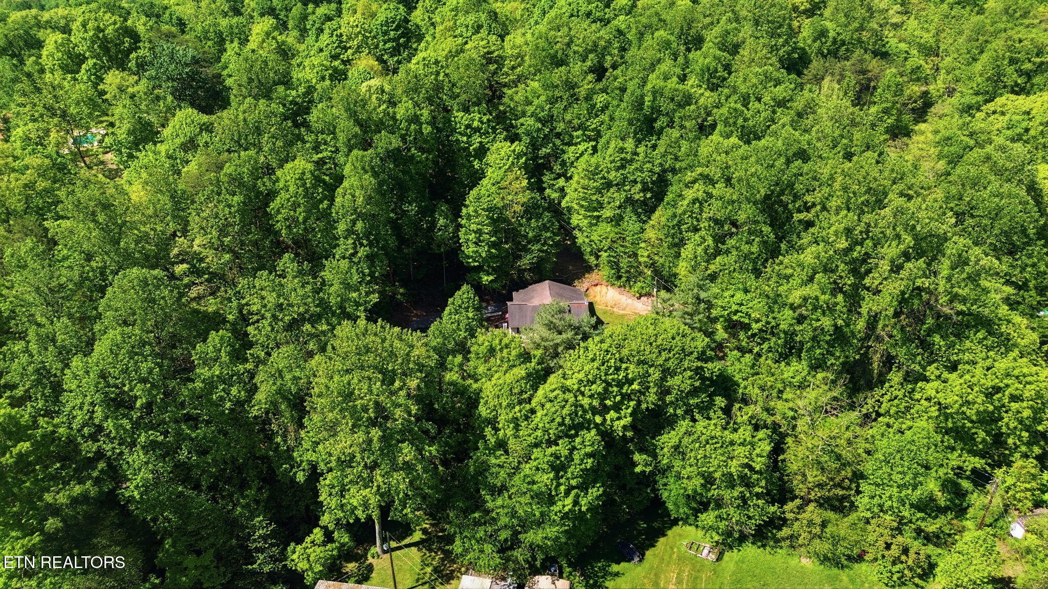 8605 Parker Drive Corryton TN 37721