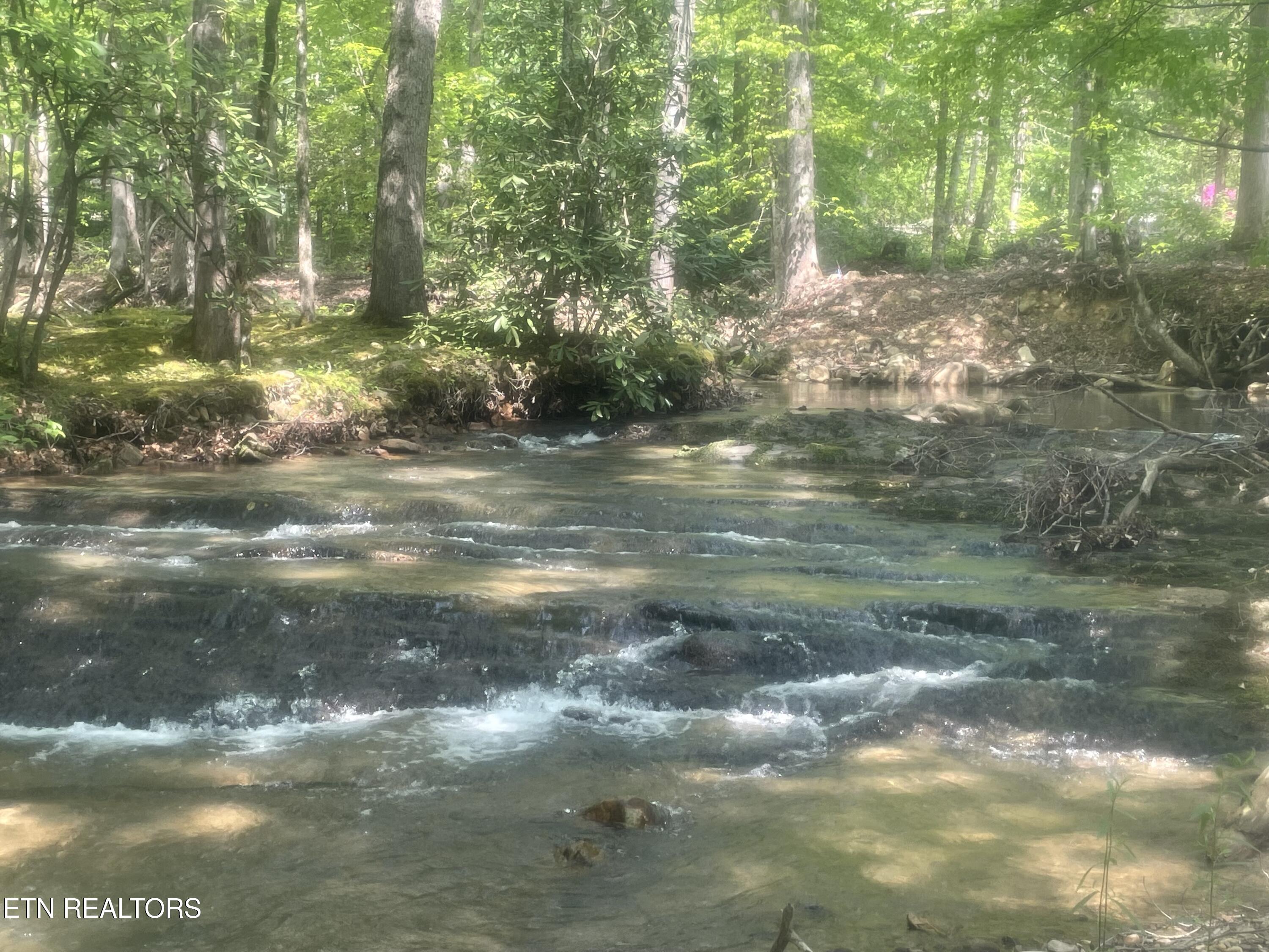 2215 Sawmill Cove Drive Sevierville TN 37862
