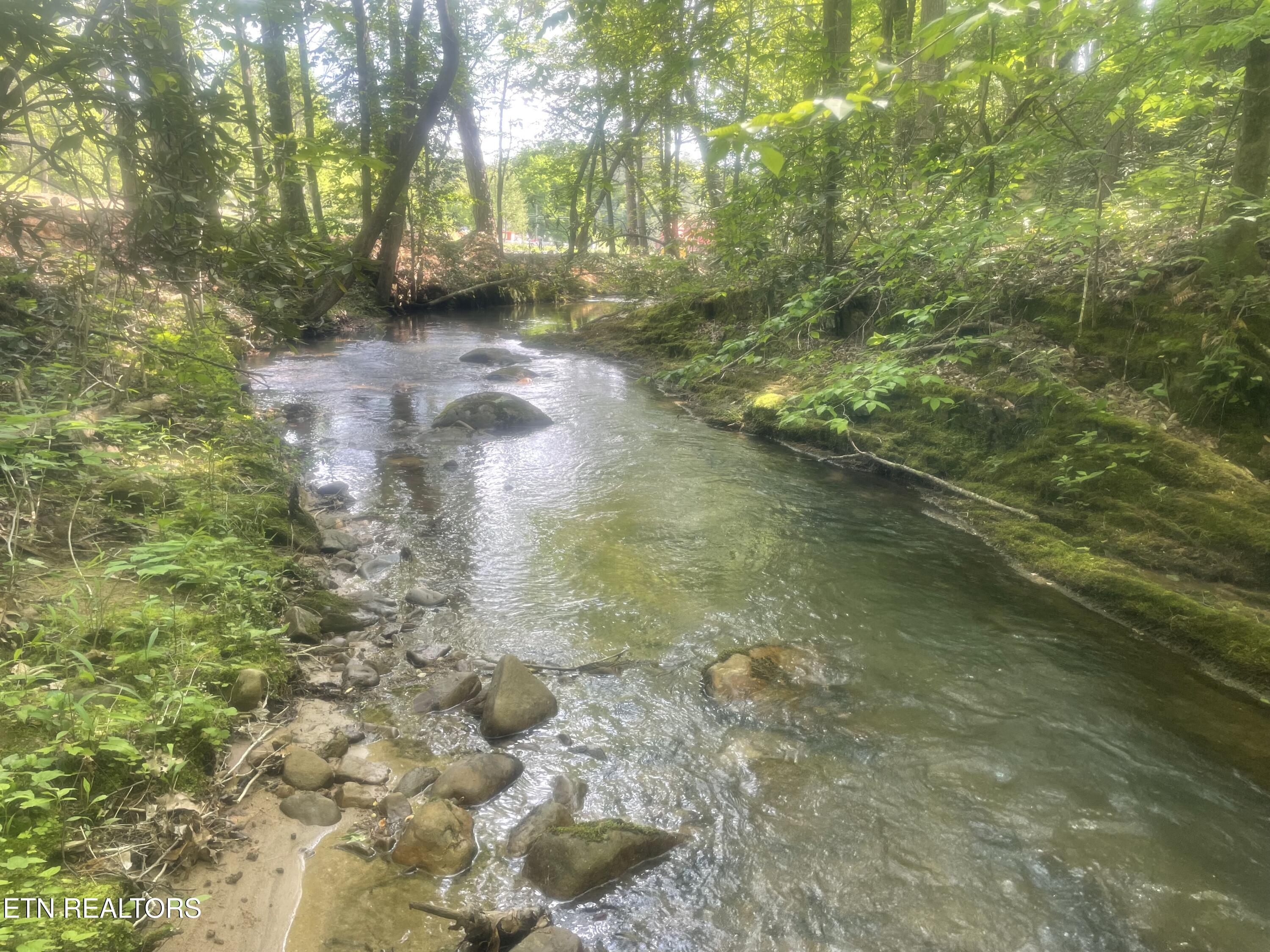 2215 Sawmill Cove Drive Sevierville TN 37862