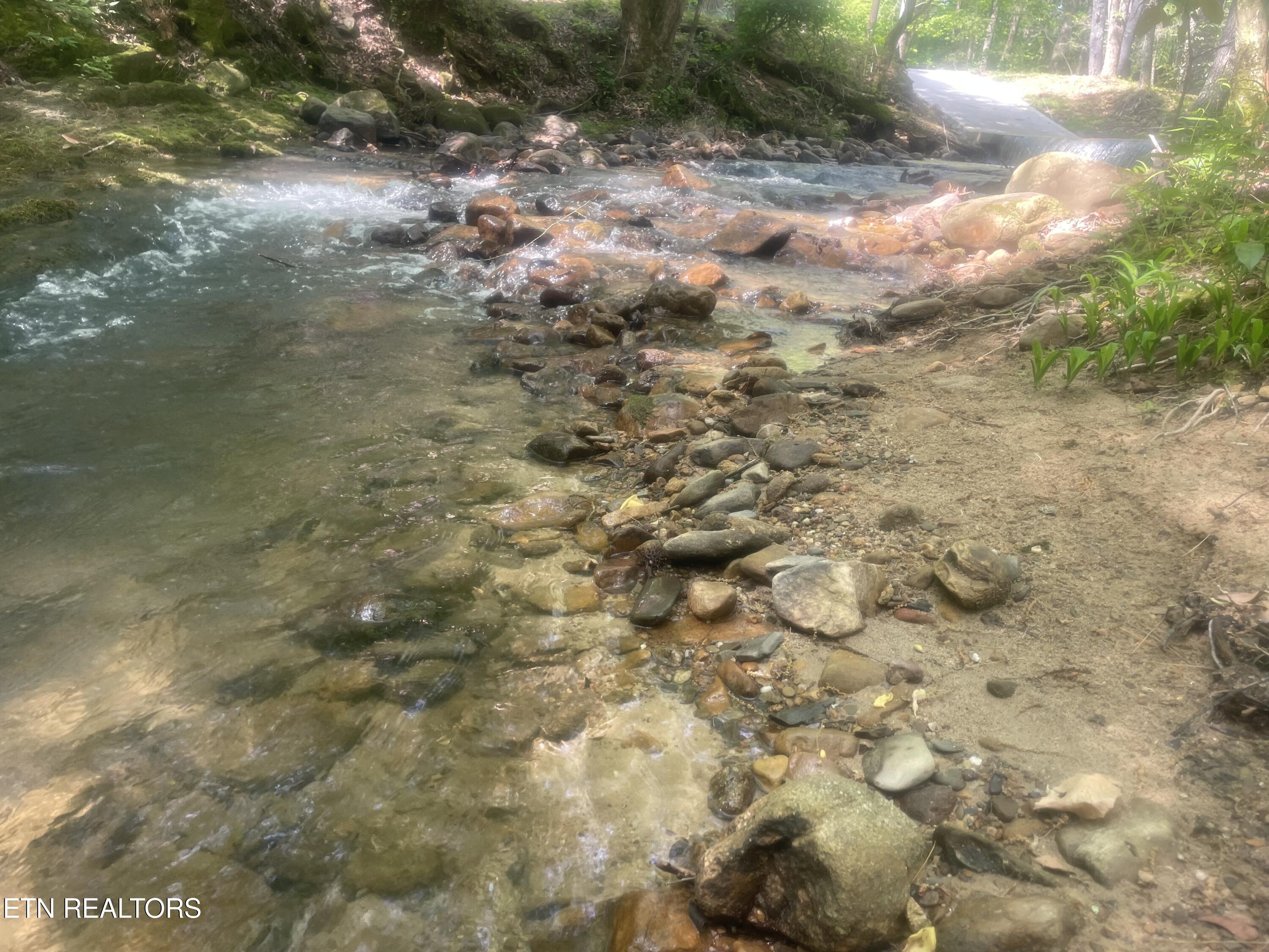 2215 Sawmill Cove Drive Sevierville TN 37862