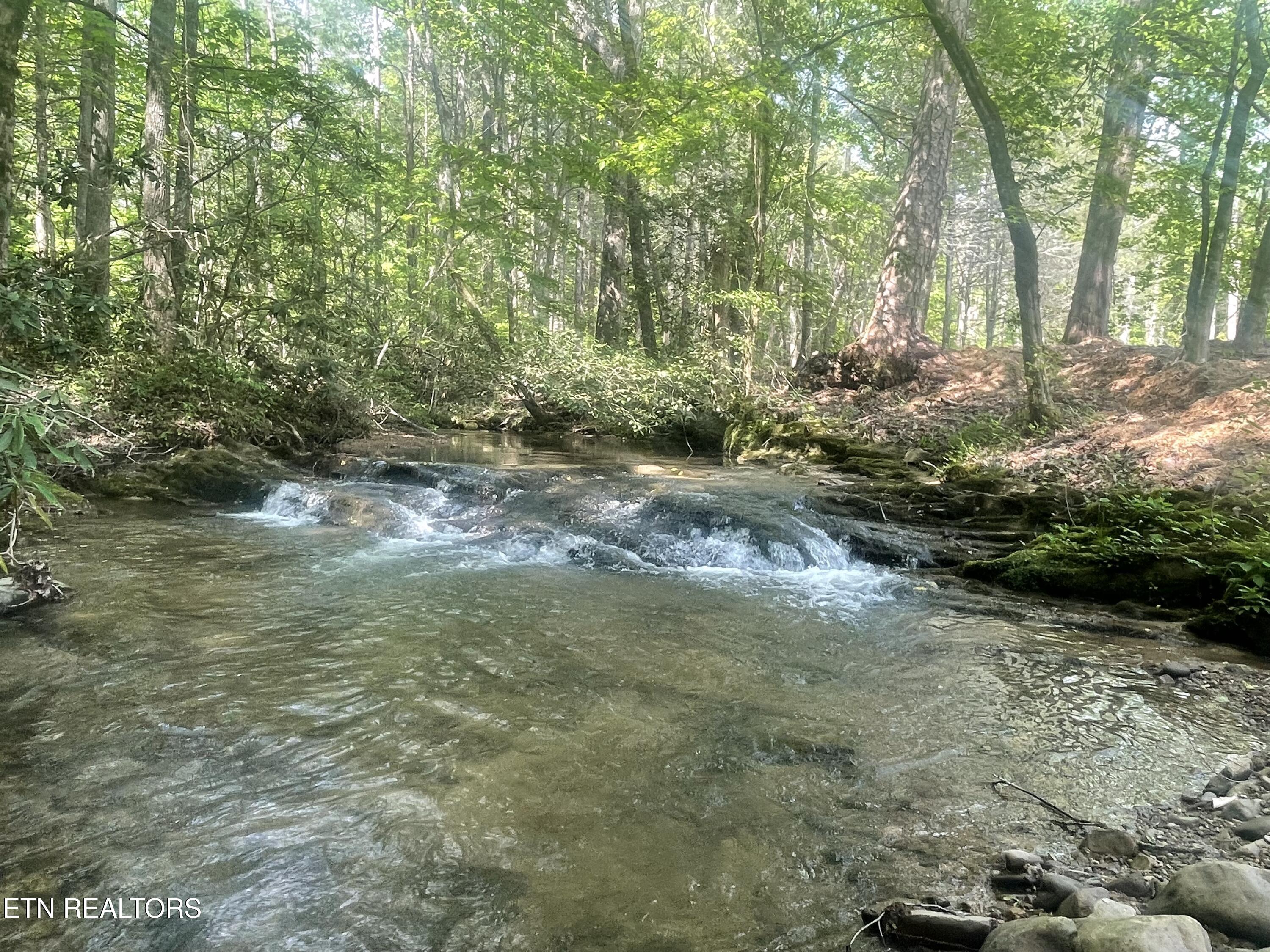 2215 Sawmill Cove Drive Sevierville TN 37862