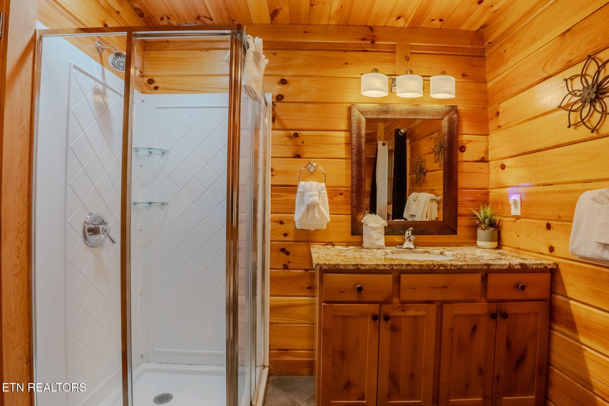 119 Chestnut Lane Gatlinburg TN 37738