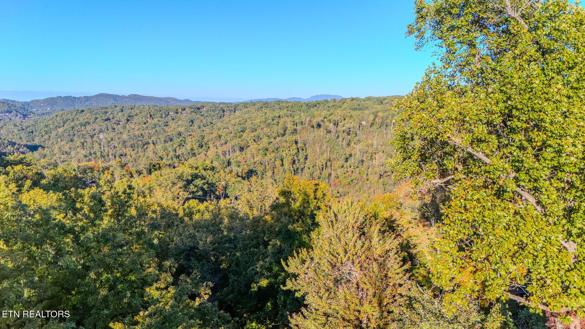 119 Chestnut Lane Gatlinburg TN 37738