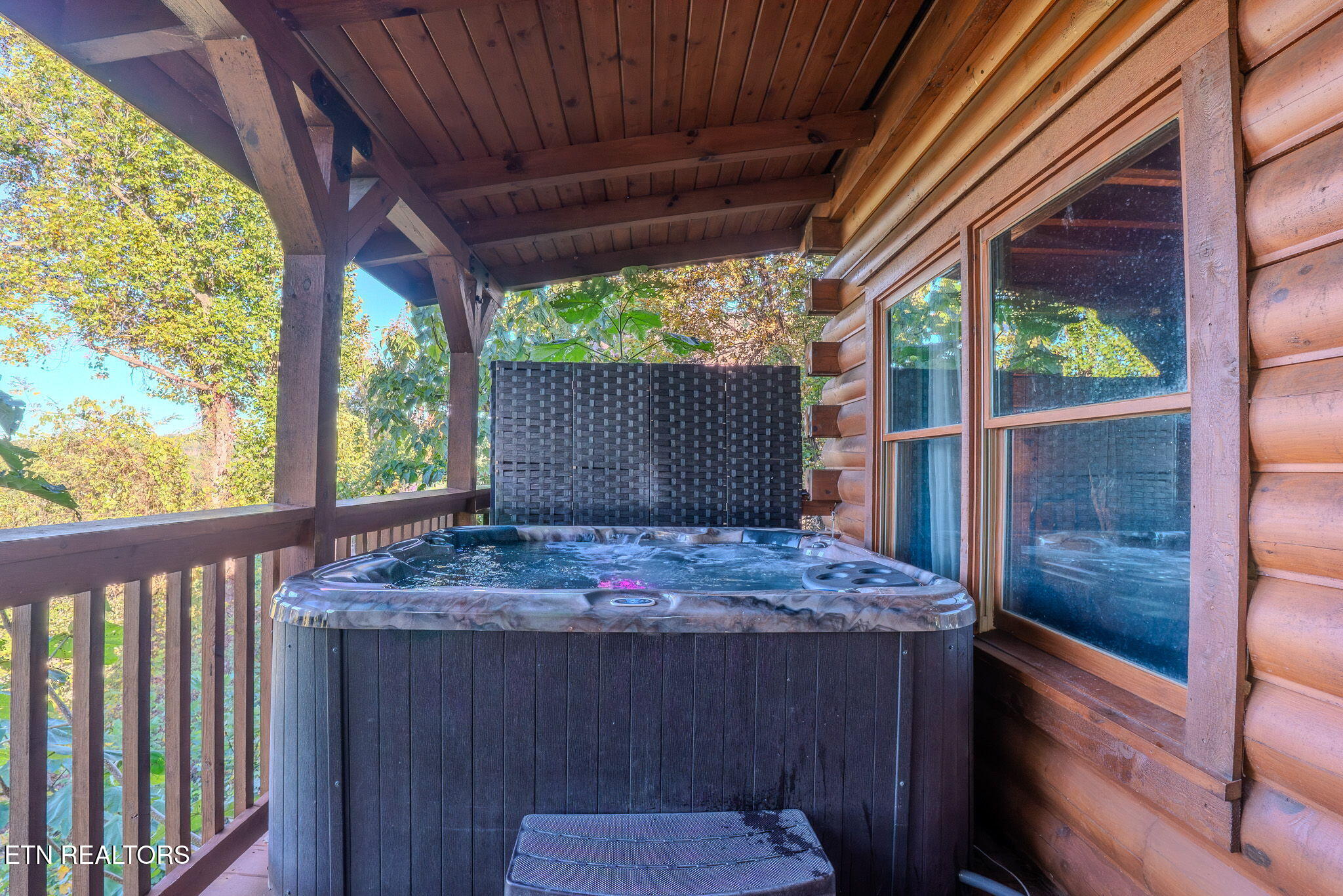 119 Chestnut Lane Gatlinburg TN 37738