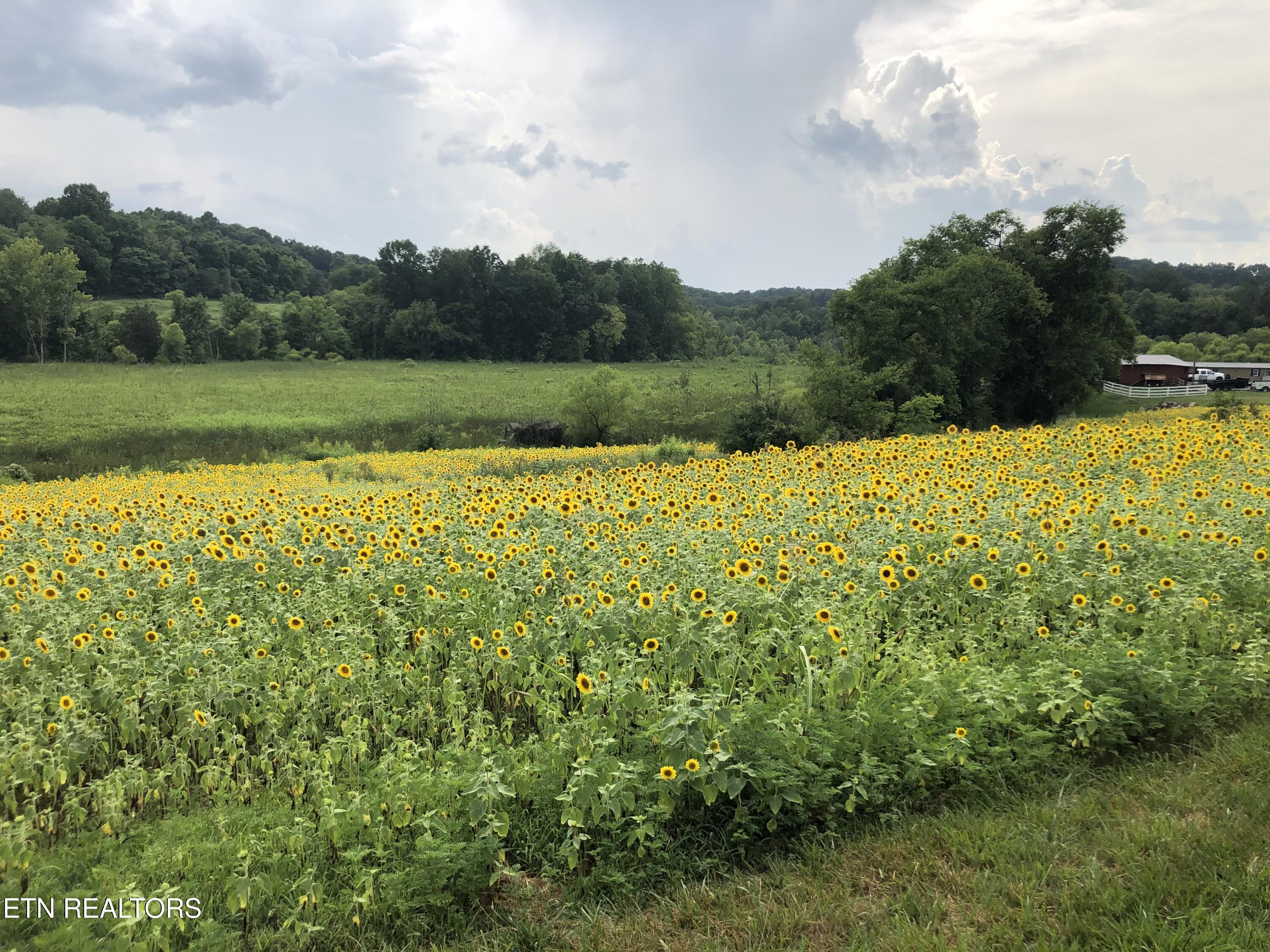 877 Eslinger Road New Market TN 37820