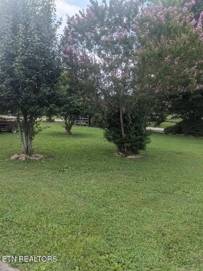 604 E Virginia Avenue Lafollette TN 37766