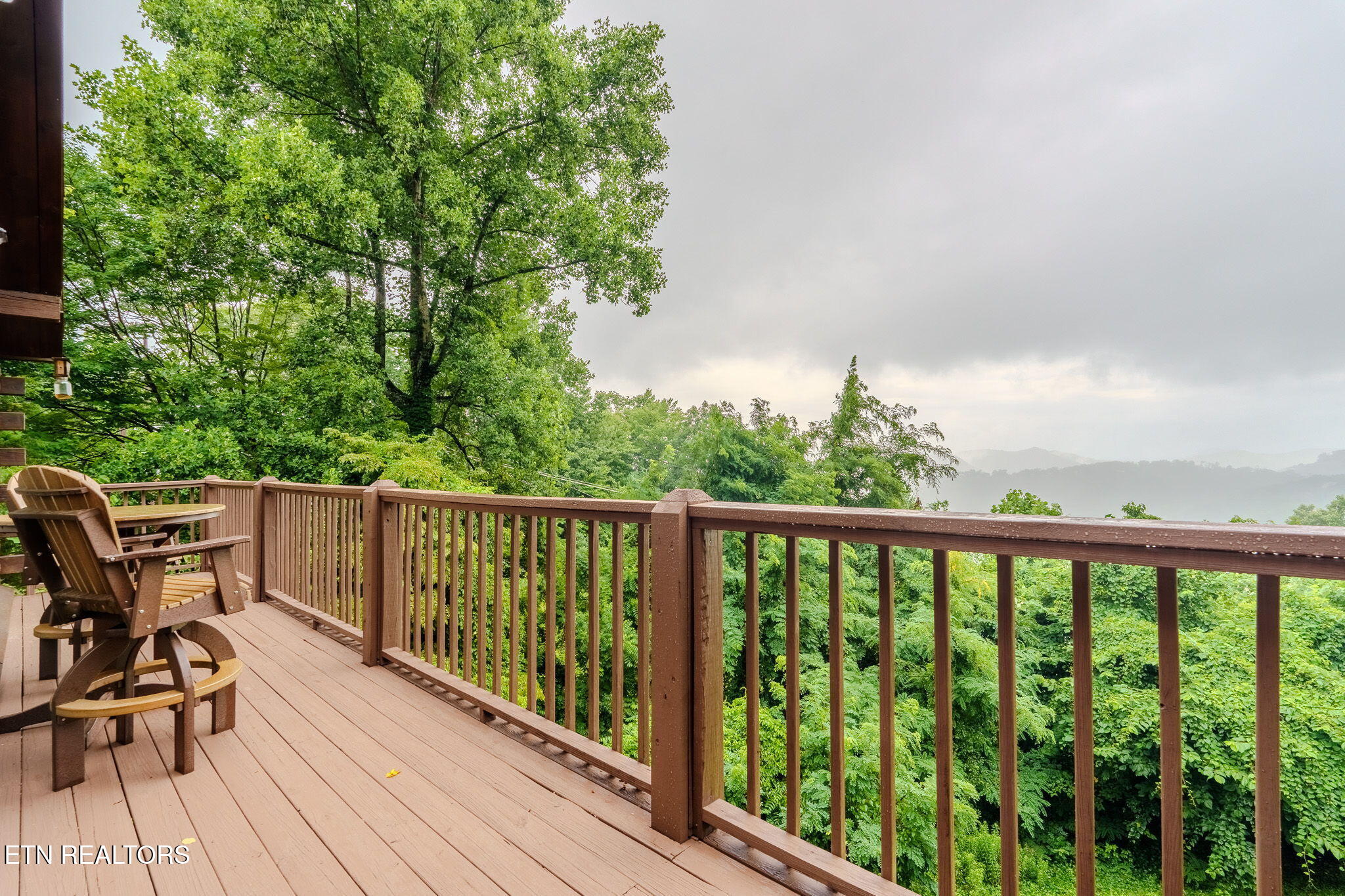 2541 Bobcat Way Sevierville TN 37862