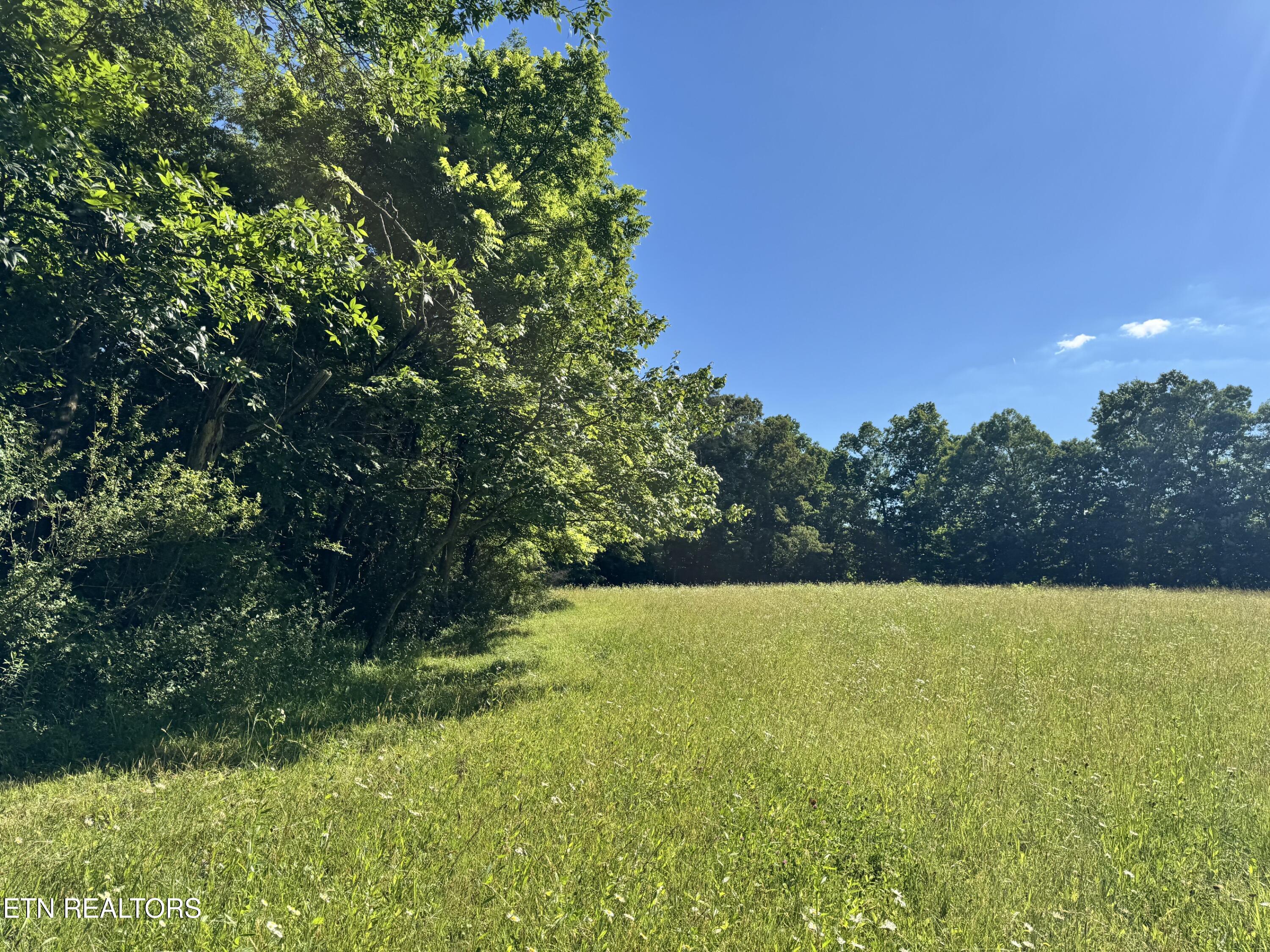 6986 S York Highway Clarkrange TN 38553