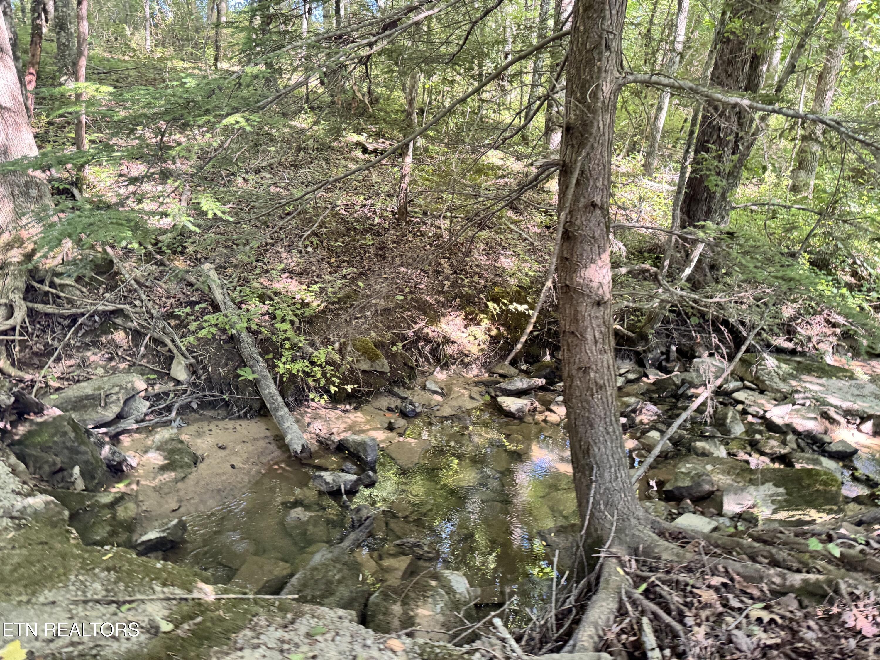 6986 S York Highway Clarkrange TN 38553