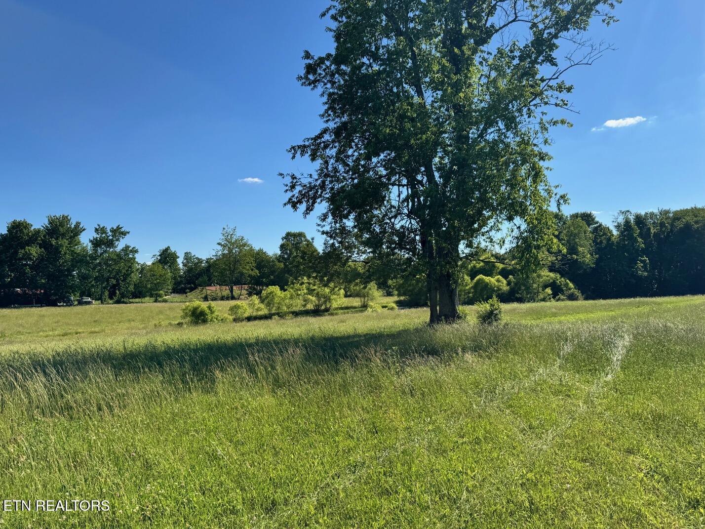 6986 S York Highway Clarkrange TN 38553