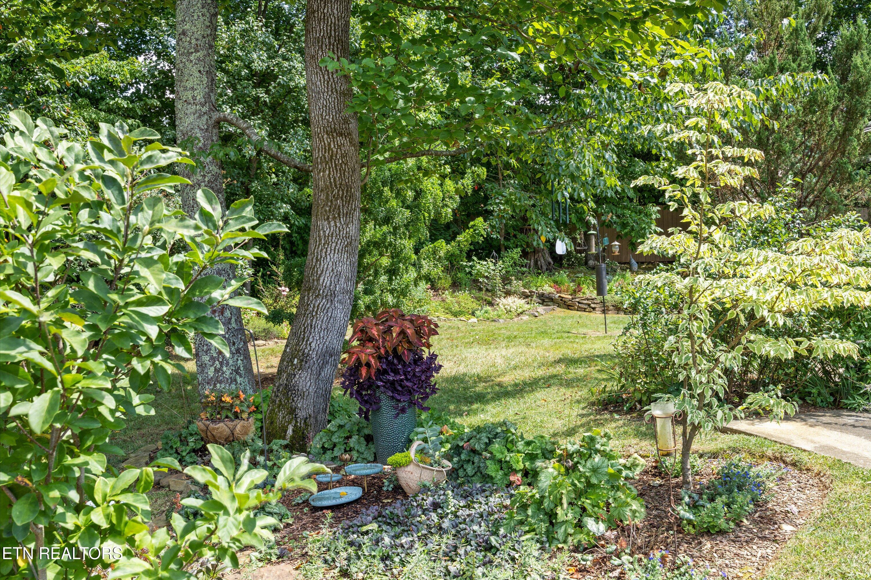 2249 Argonne Drive Maryville TN 37804