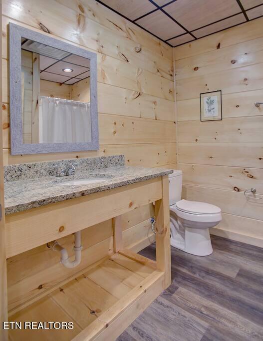 817 String Run Way Pigeon Forge TN 37863