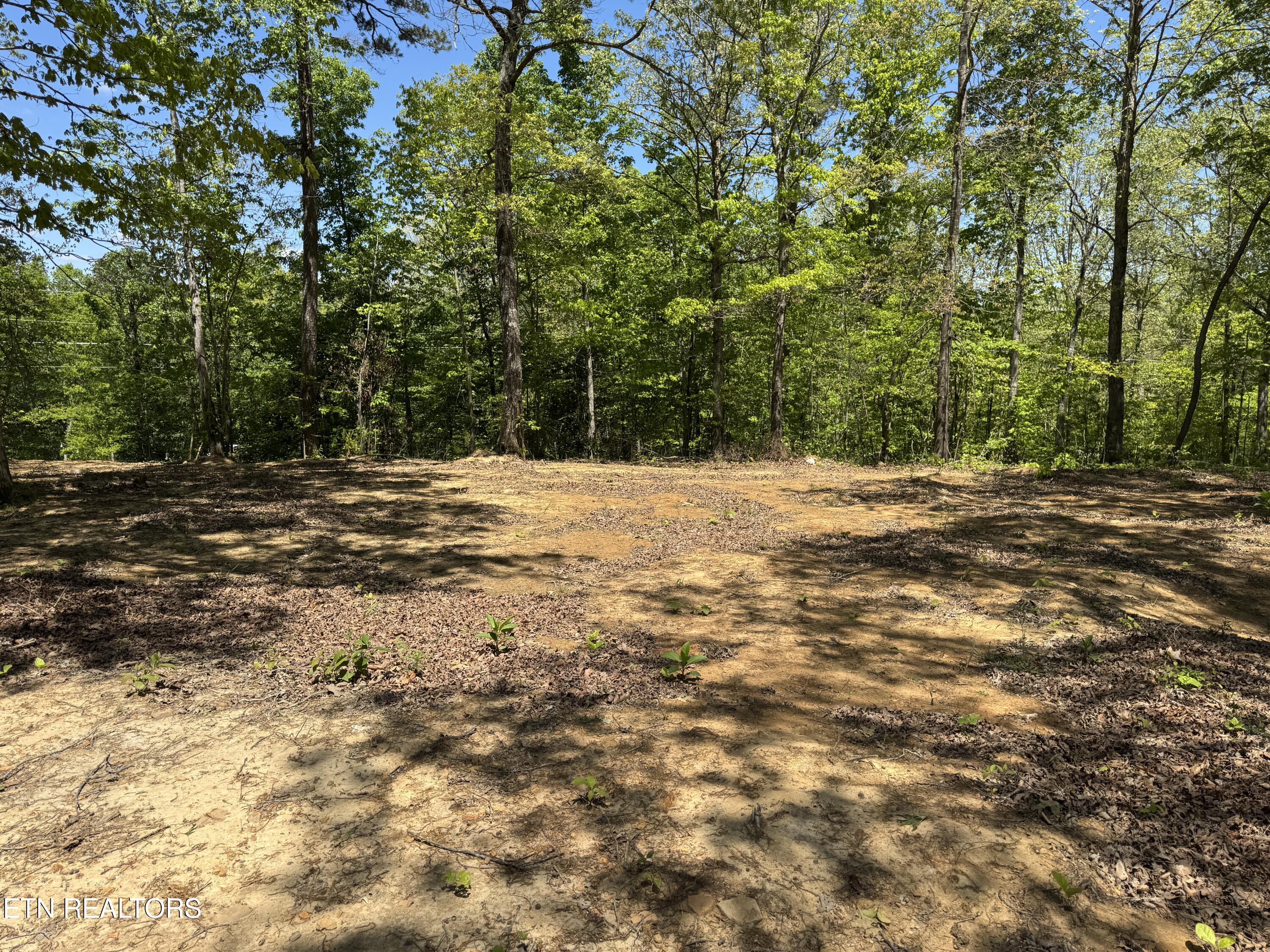 1022 Spring Hill Circle Jamestown TN 38556