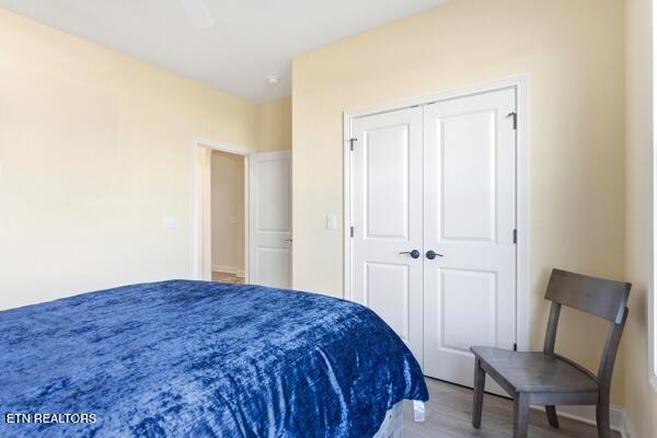 316 Trillium Trail Lenoir City TN 37771