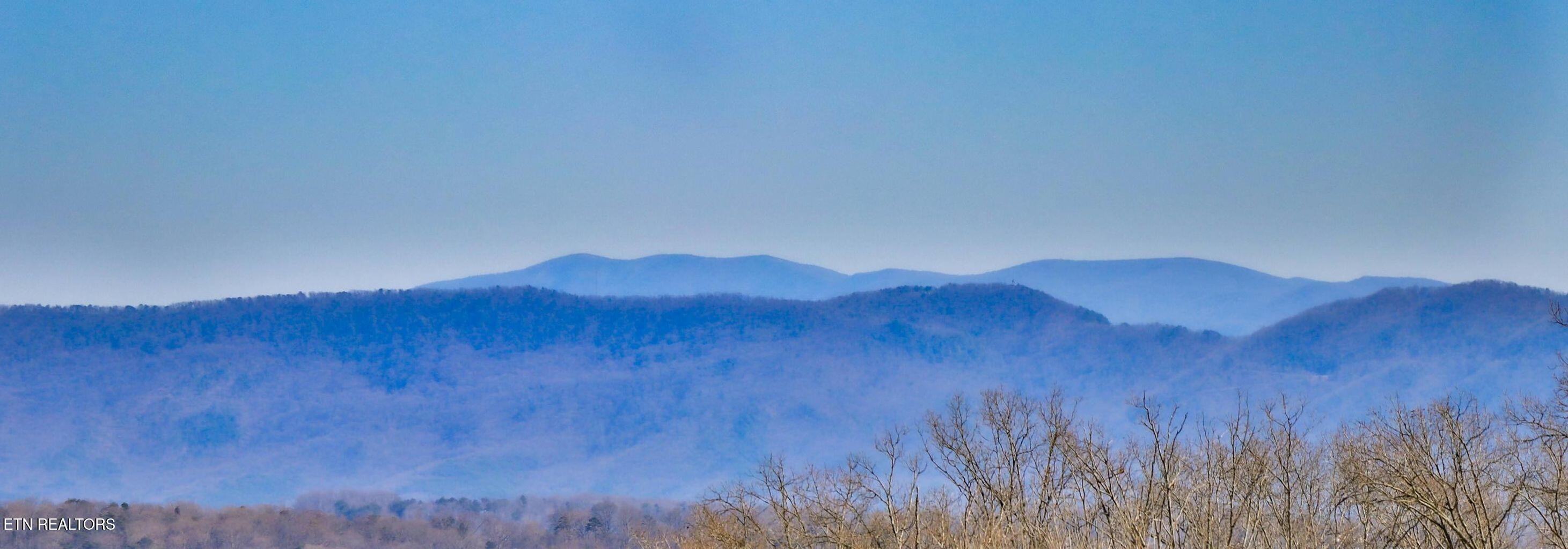 1131 Houston Springs Road Greenback TN 37742