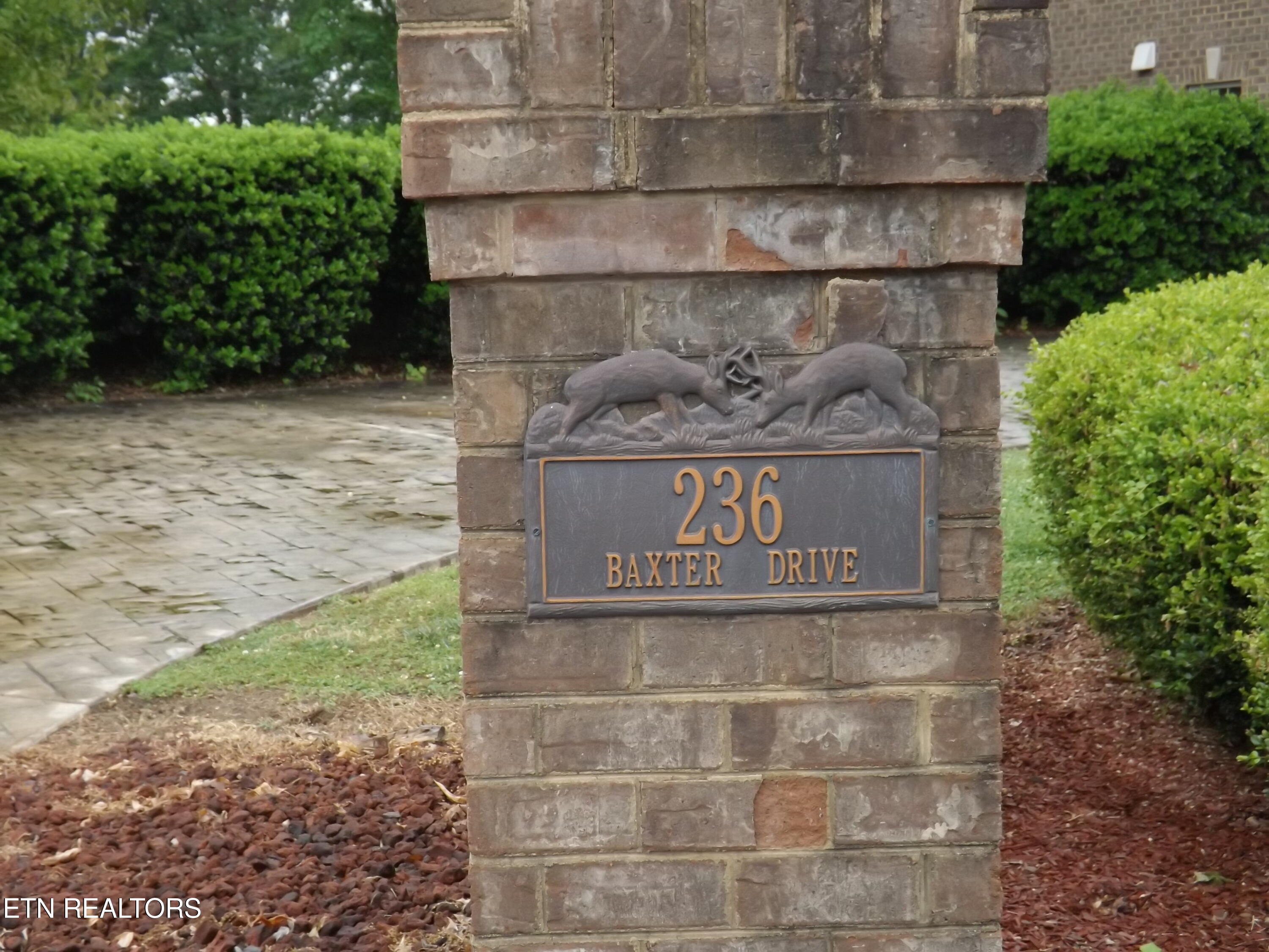 236 Baxter Drive New Tazewell TN 37825