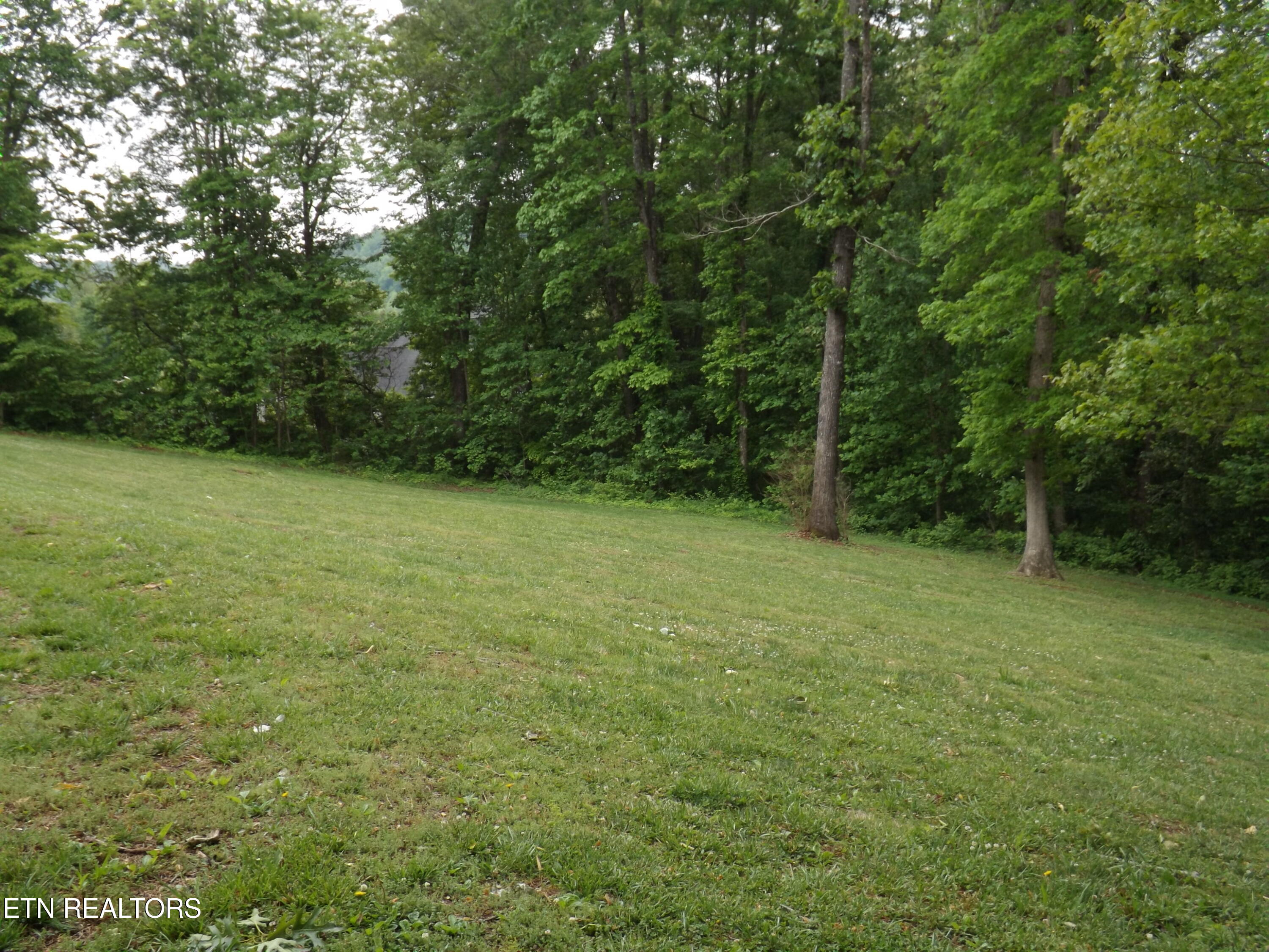 236 Baxter Drive New Tazewell TN 37825